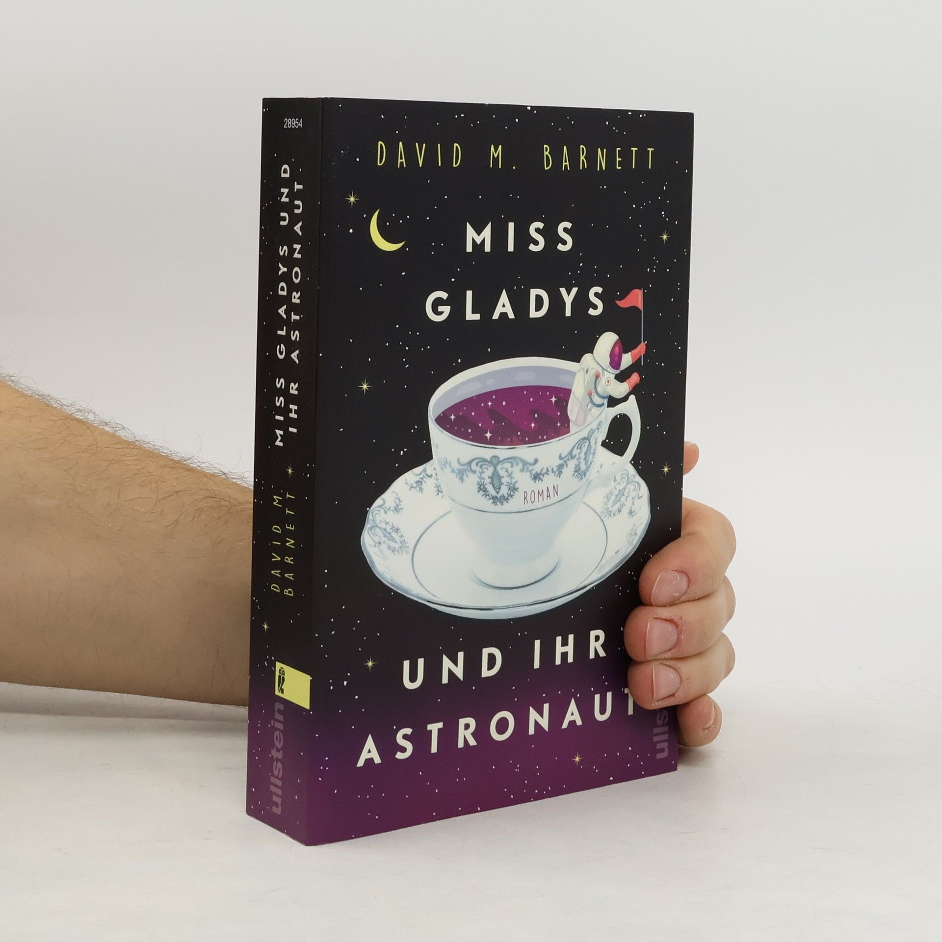 David Barnett Miss Gladys und ihr Astronaut