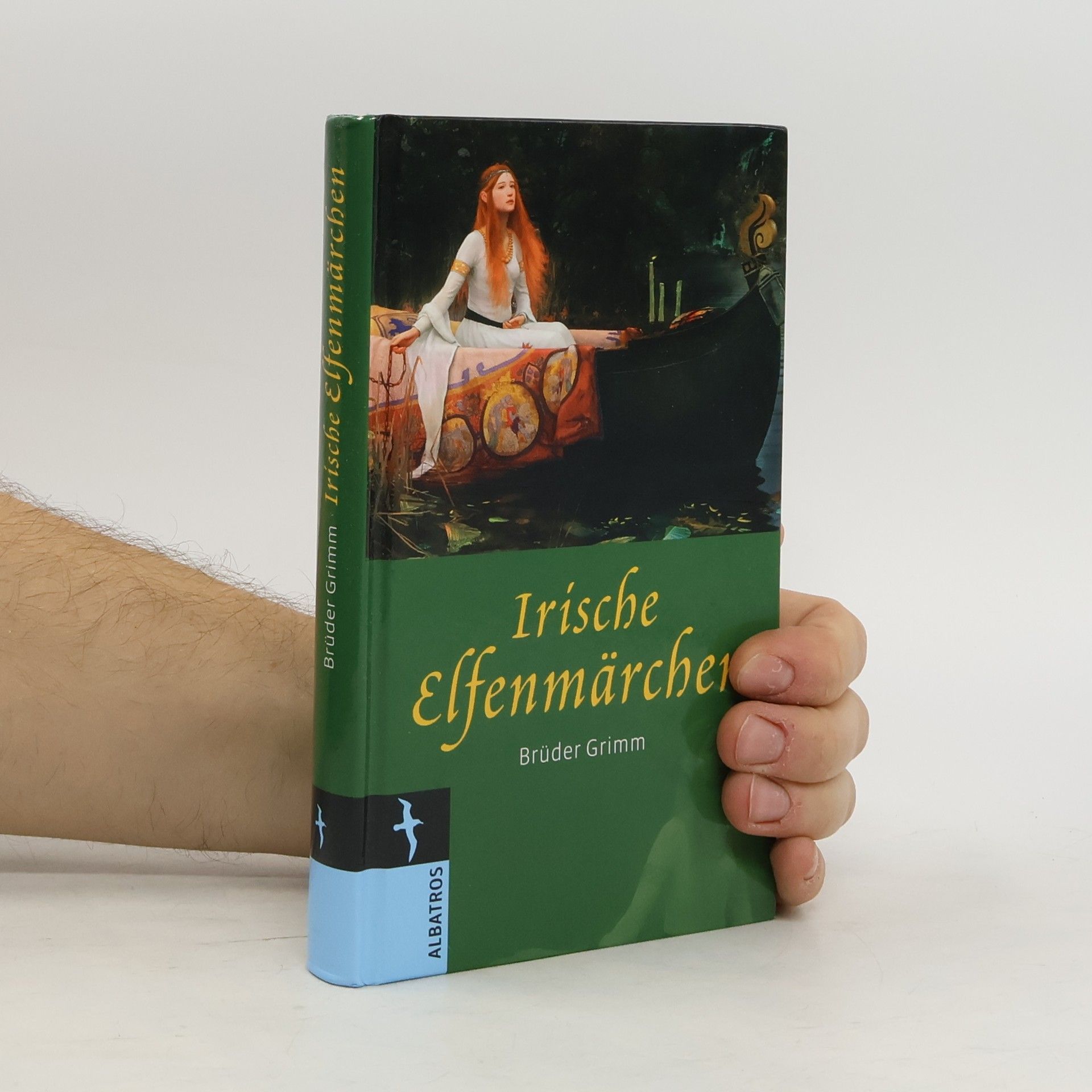 bratři Grimmové Irische Elfenmärchen