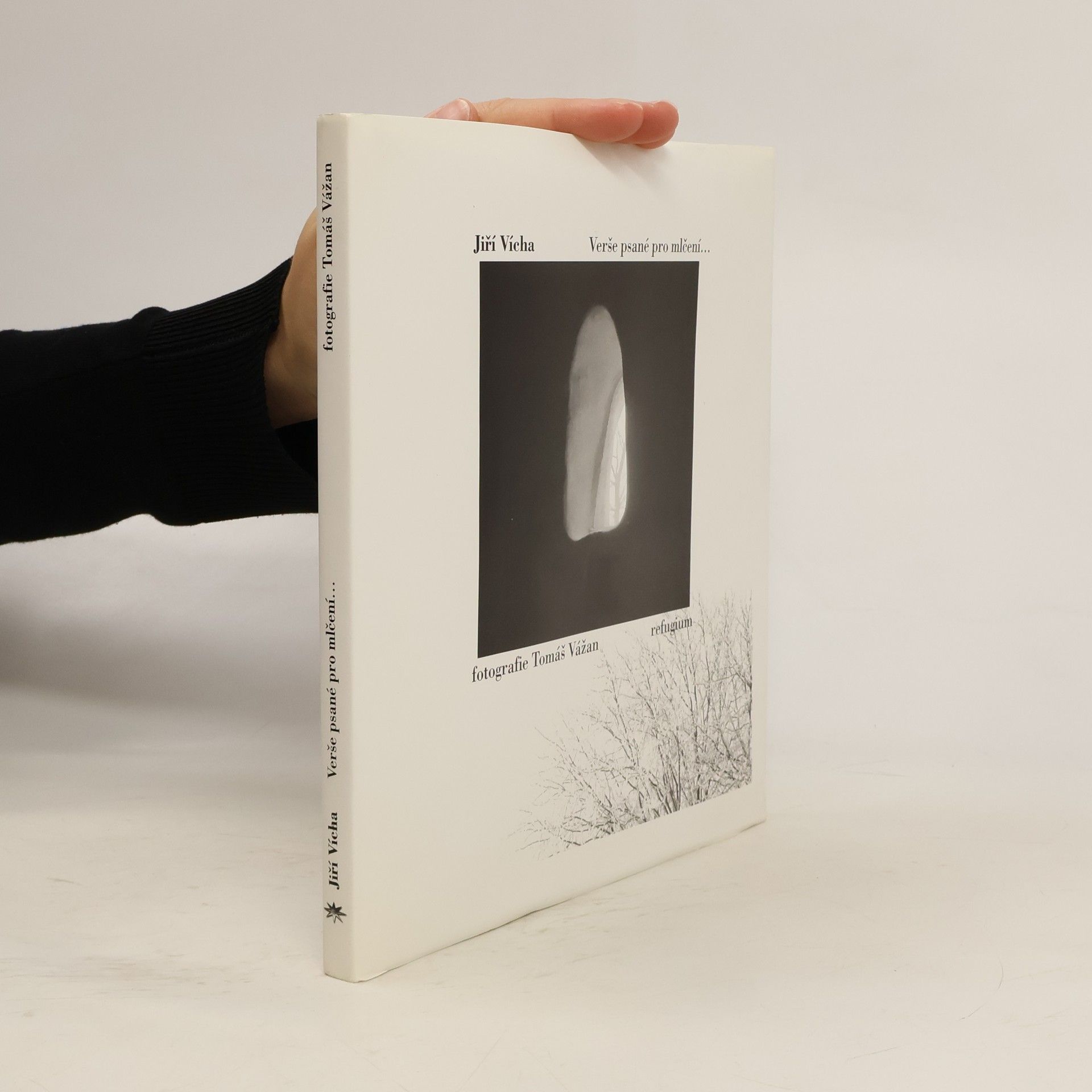 Jiří Vícha Verše psané pro mlčení...