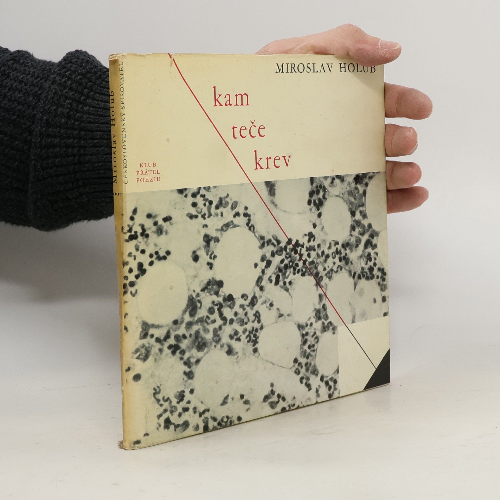 Miroslav Holub Kam teče krev