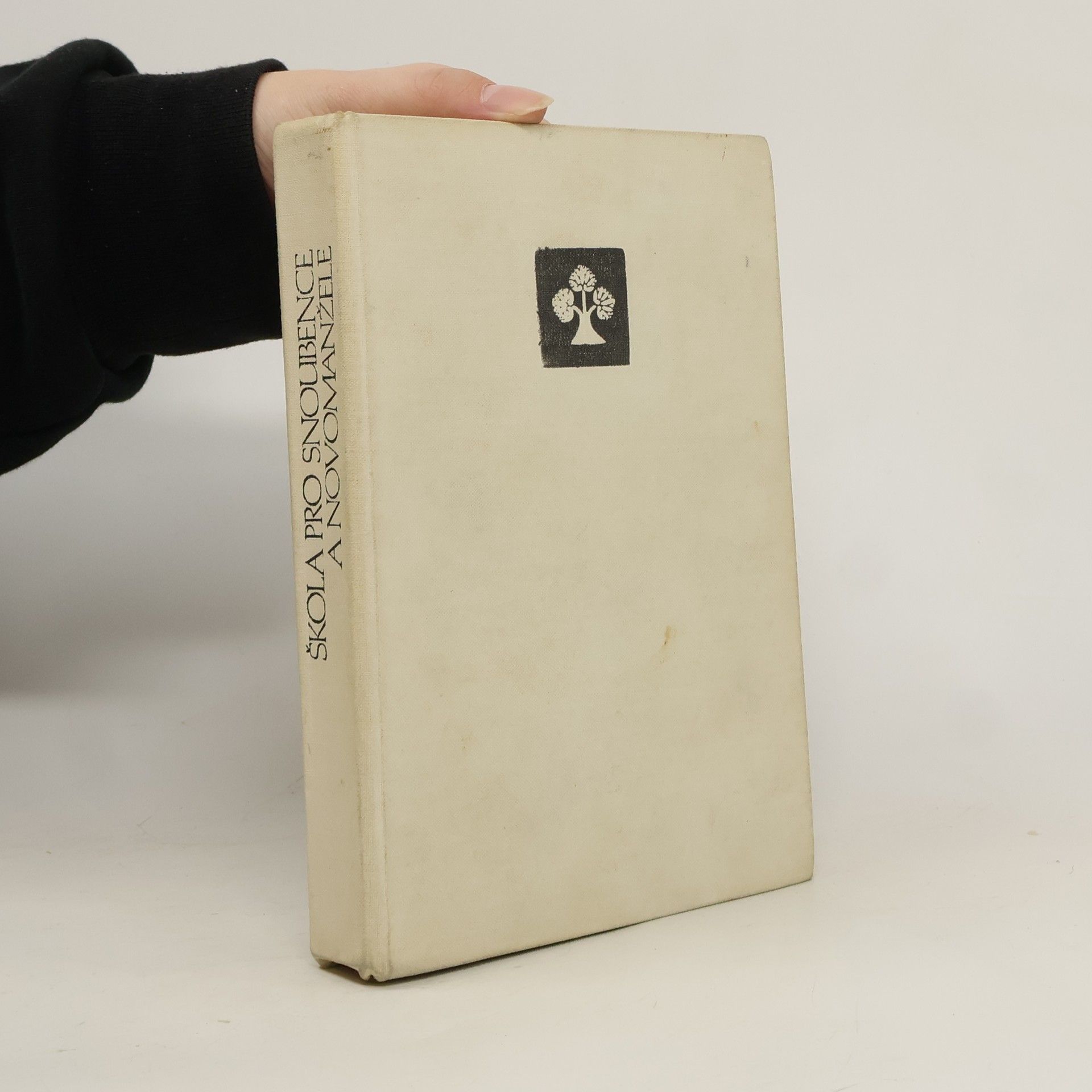 Škola pro snoubence a novomanžele