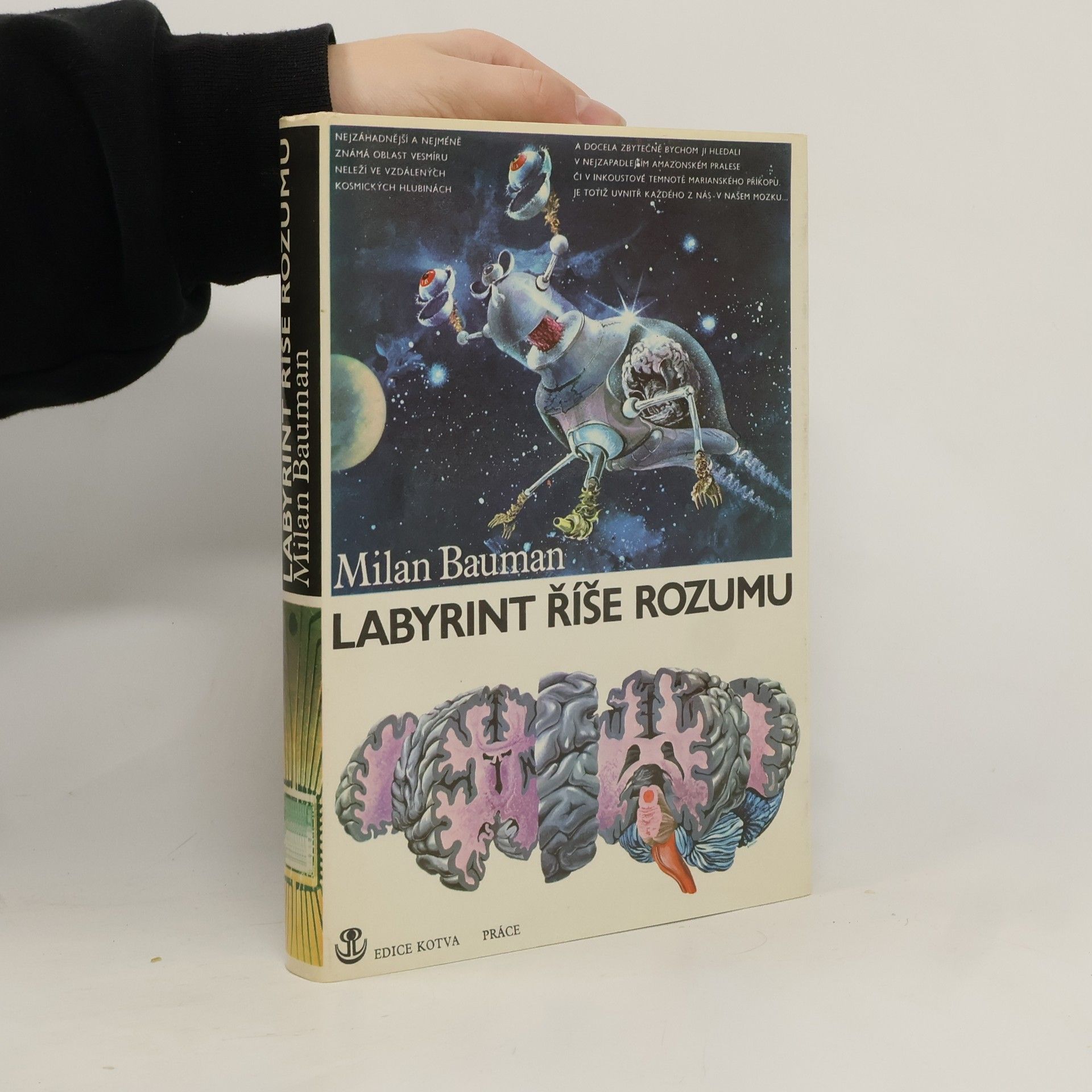 Labyrint říše rozumu