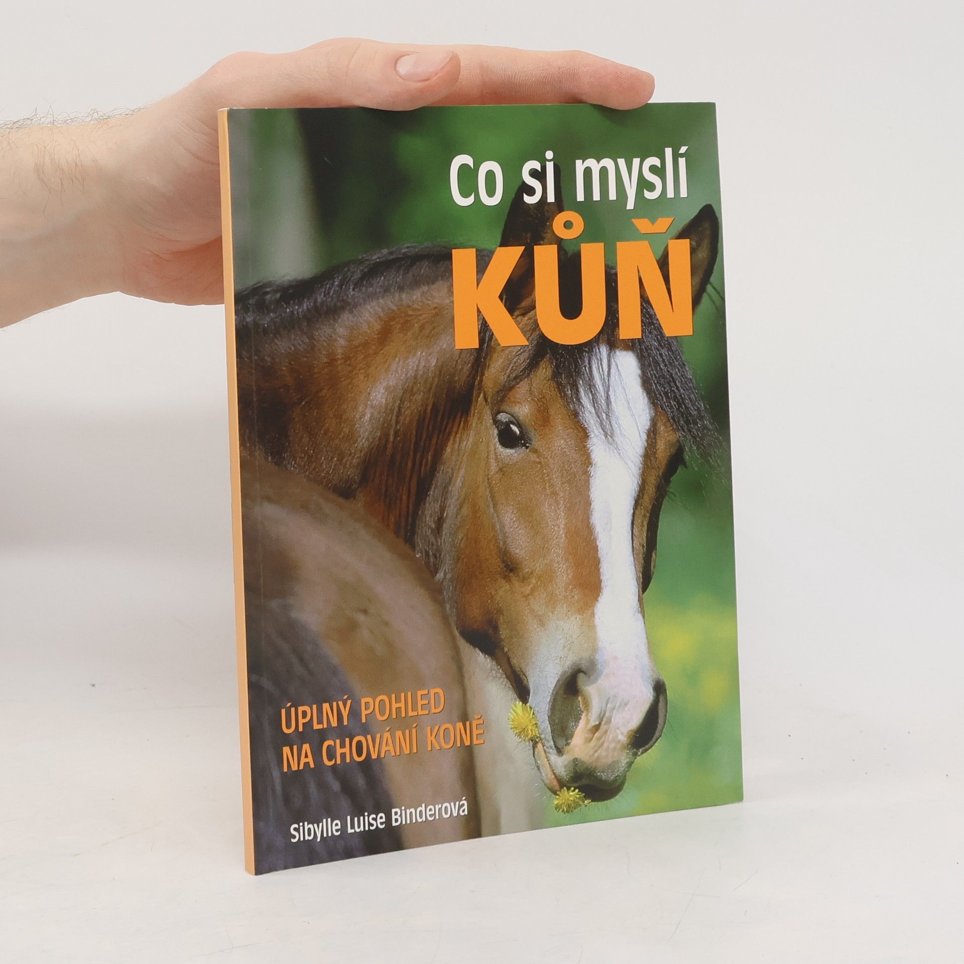 Sibylle Luise Binder Co si myslí kůň : úplný pohled na chování koně
