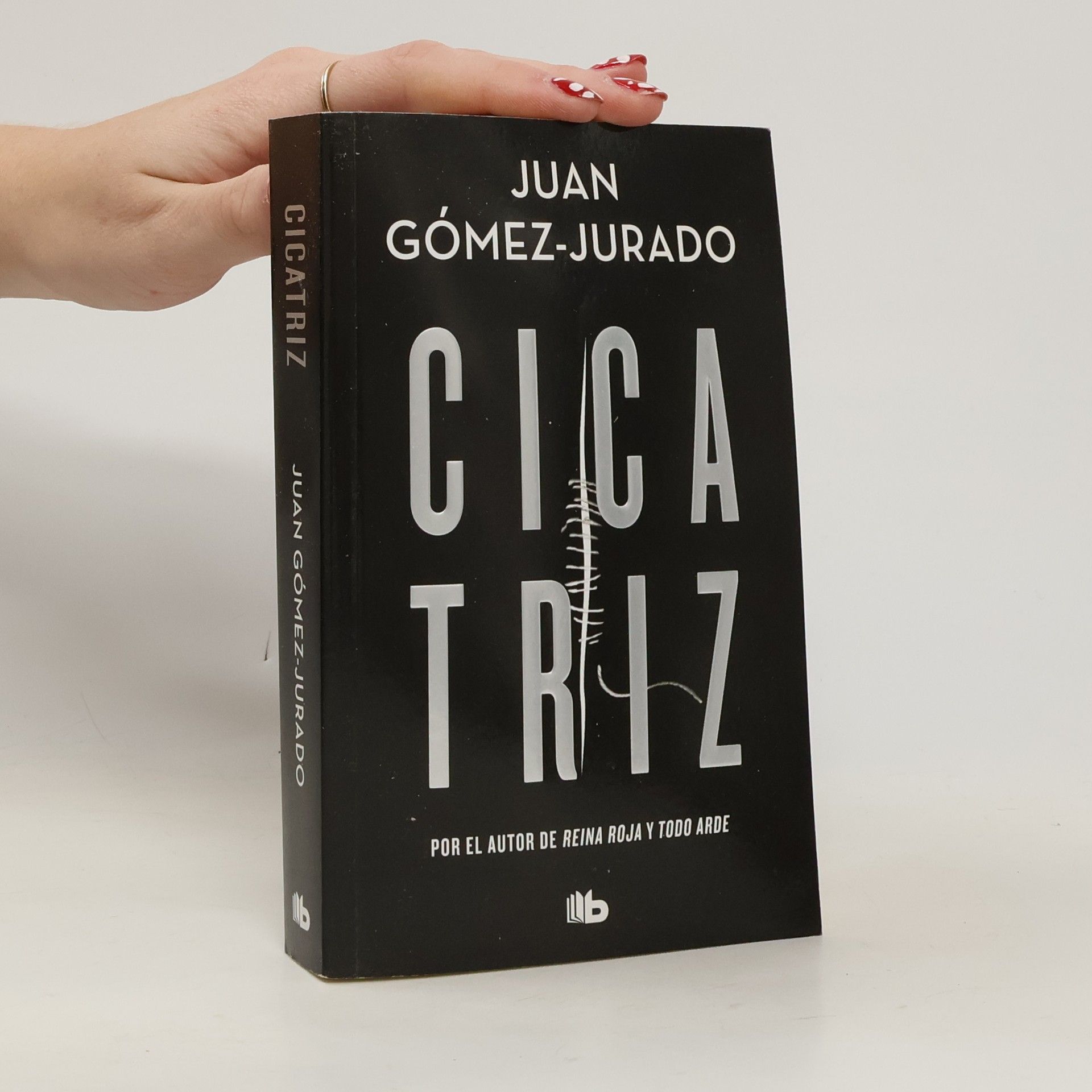Juan Gómez-Jurado Cicatriz