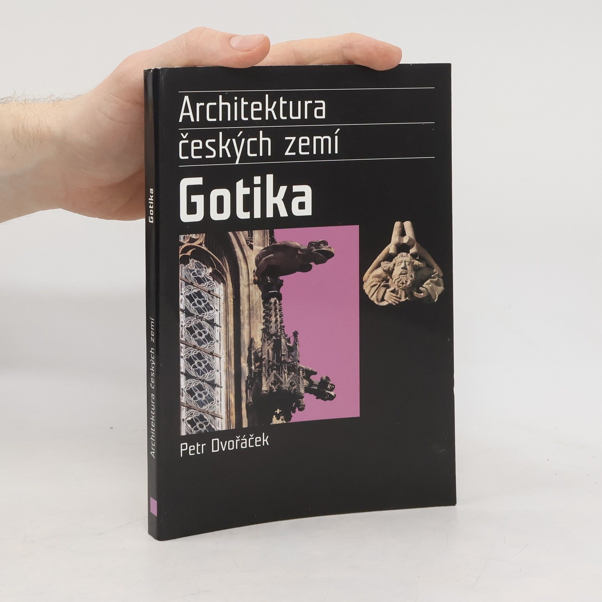 Petr Dvořáček Gotika. Architektura českých zemí