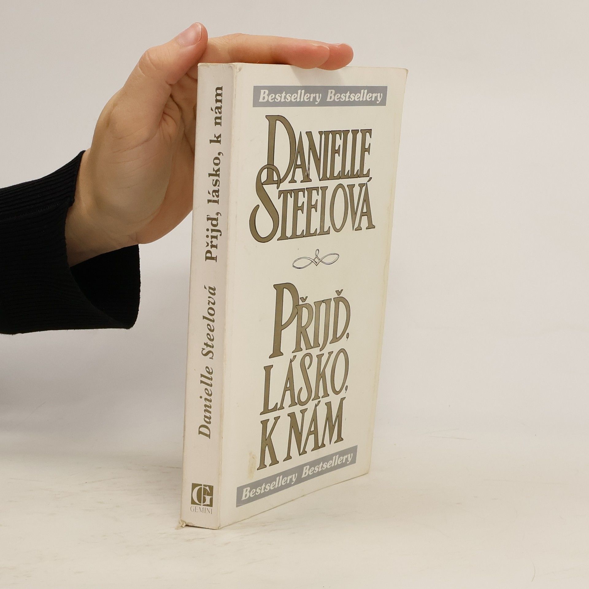 Danielle Steel Přijď, lásko, k nám