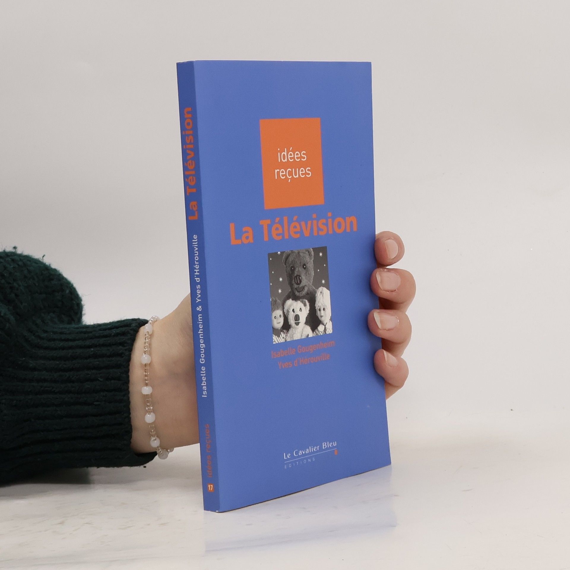 Isabelle Gougenheim La télévision