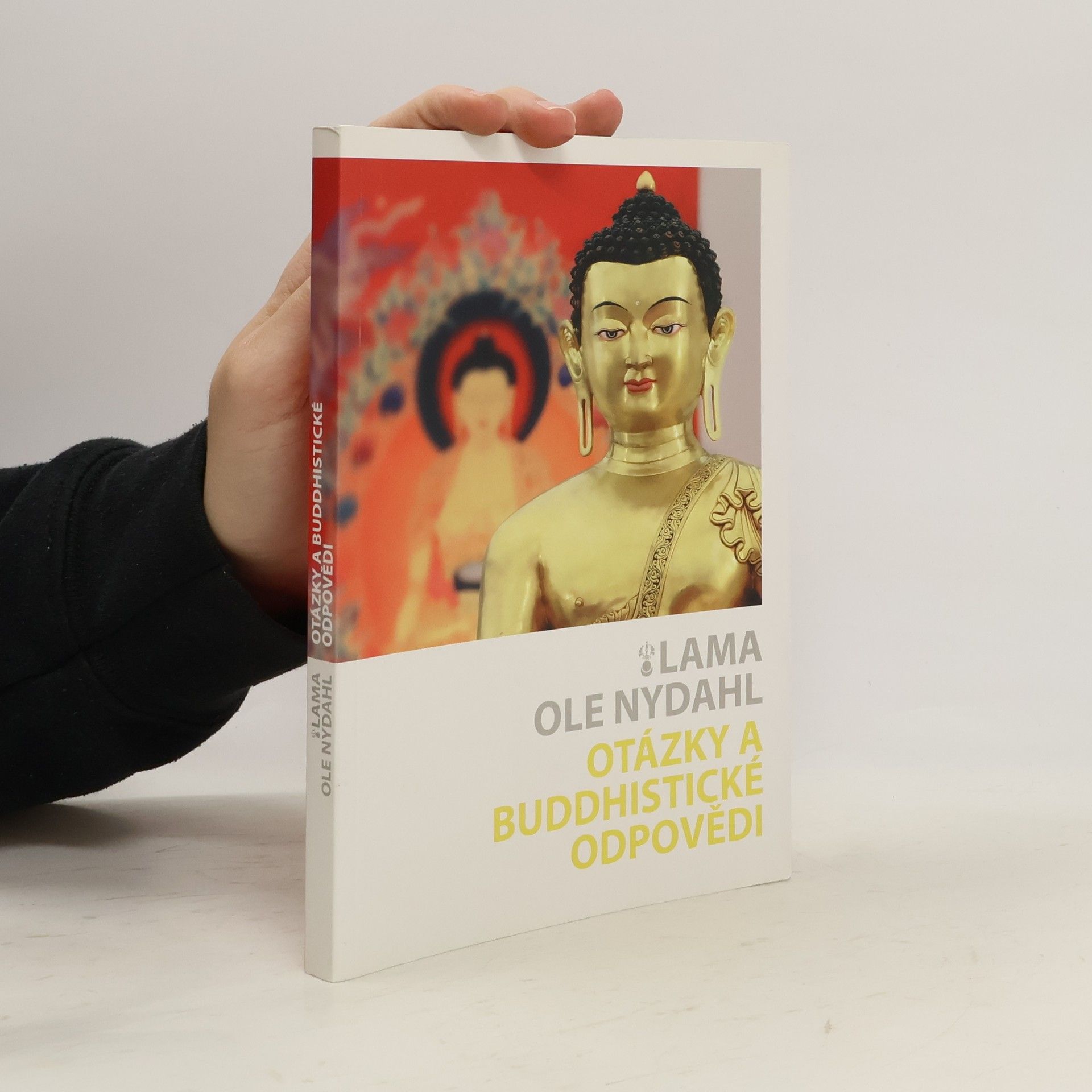 Ole Nydahl Otázky a buddhistické odpovědi