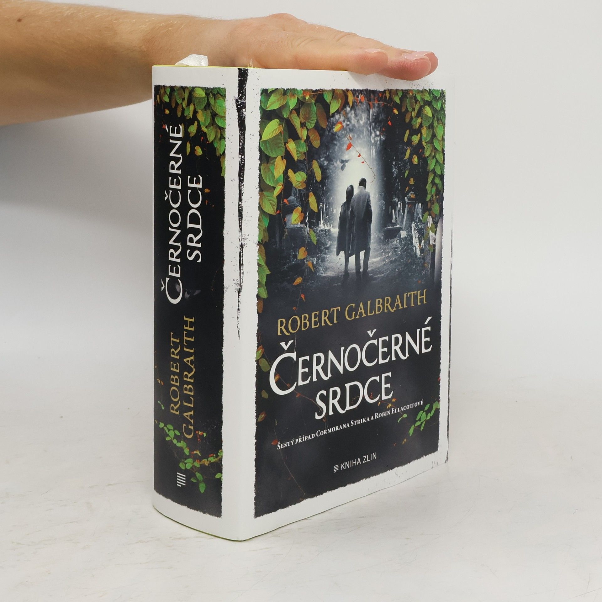 Robert Galbraith Černočerné srdce