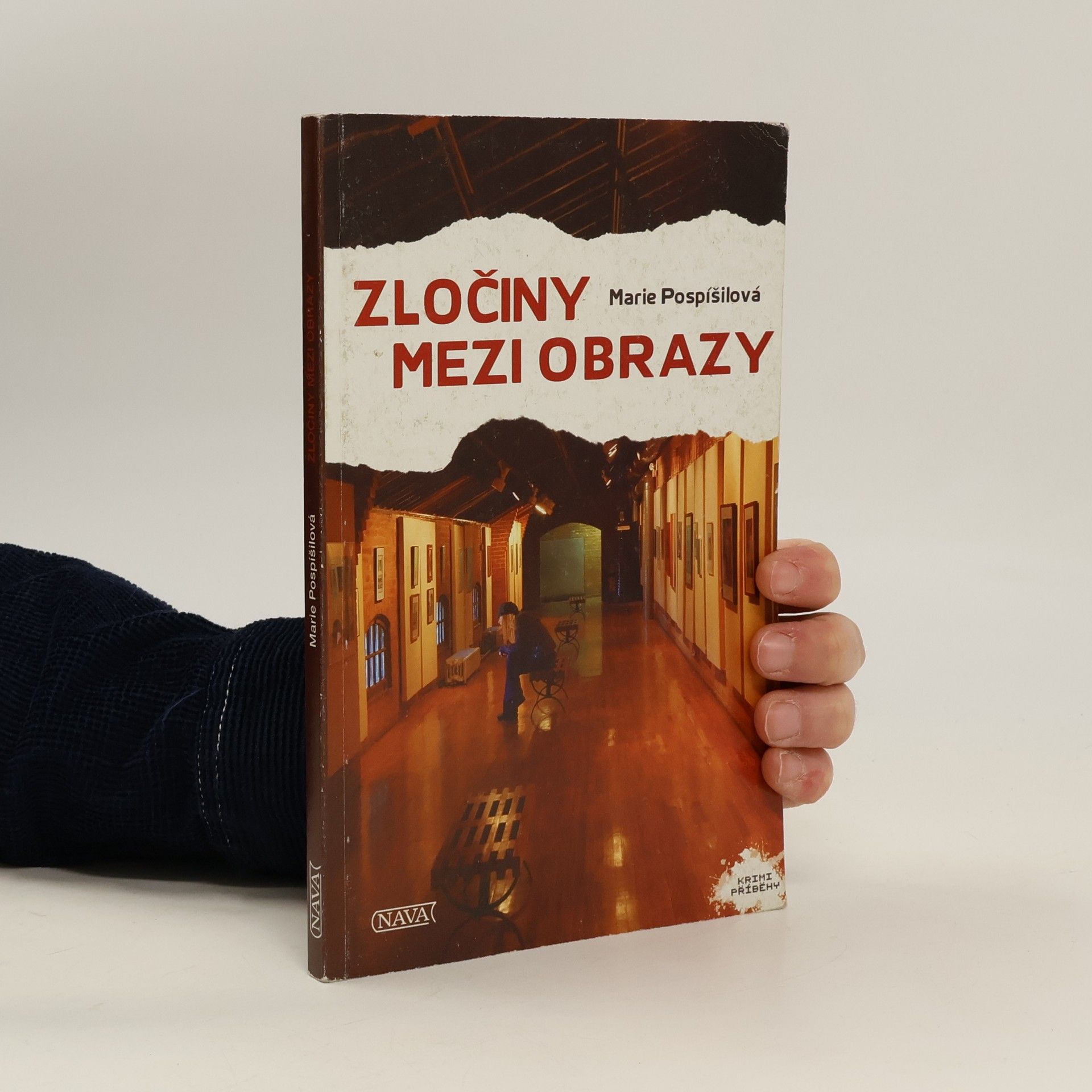 Marie Pospíšilová Zločiny mezi obrazy