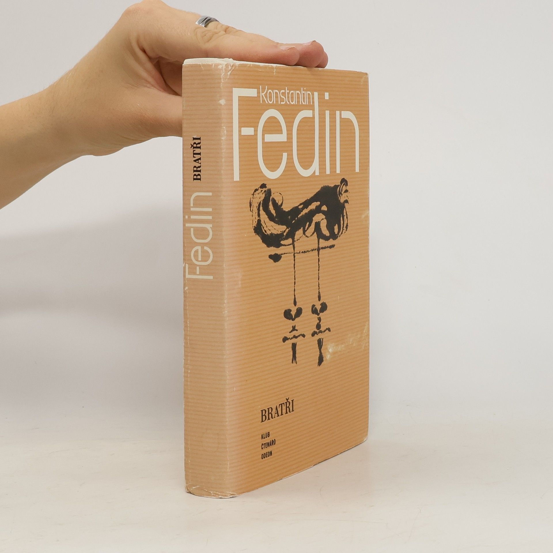 Konstantin Aleksandrovič Fedin Bratři