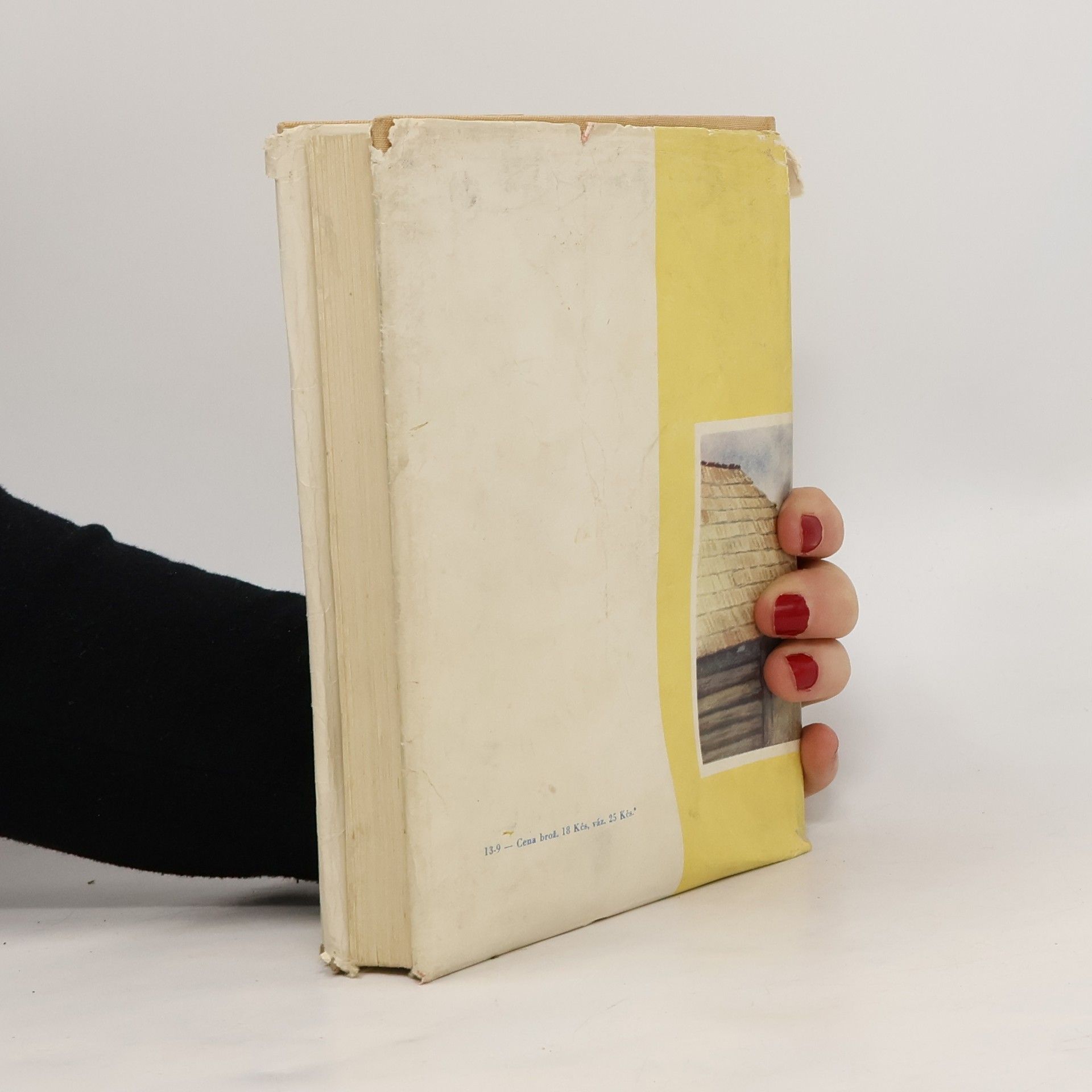 U slunce. Veselý román z dob formanské slávy