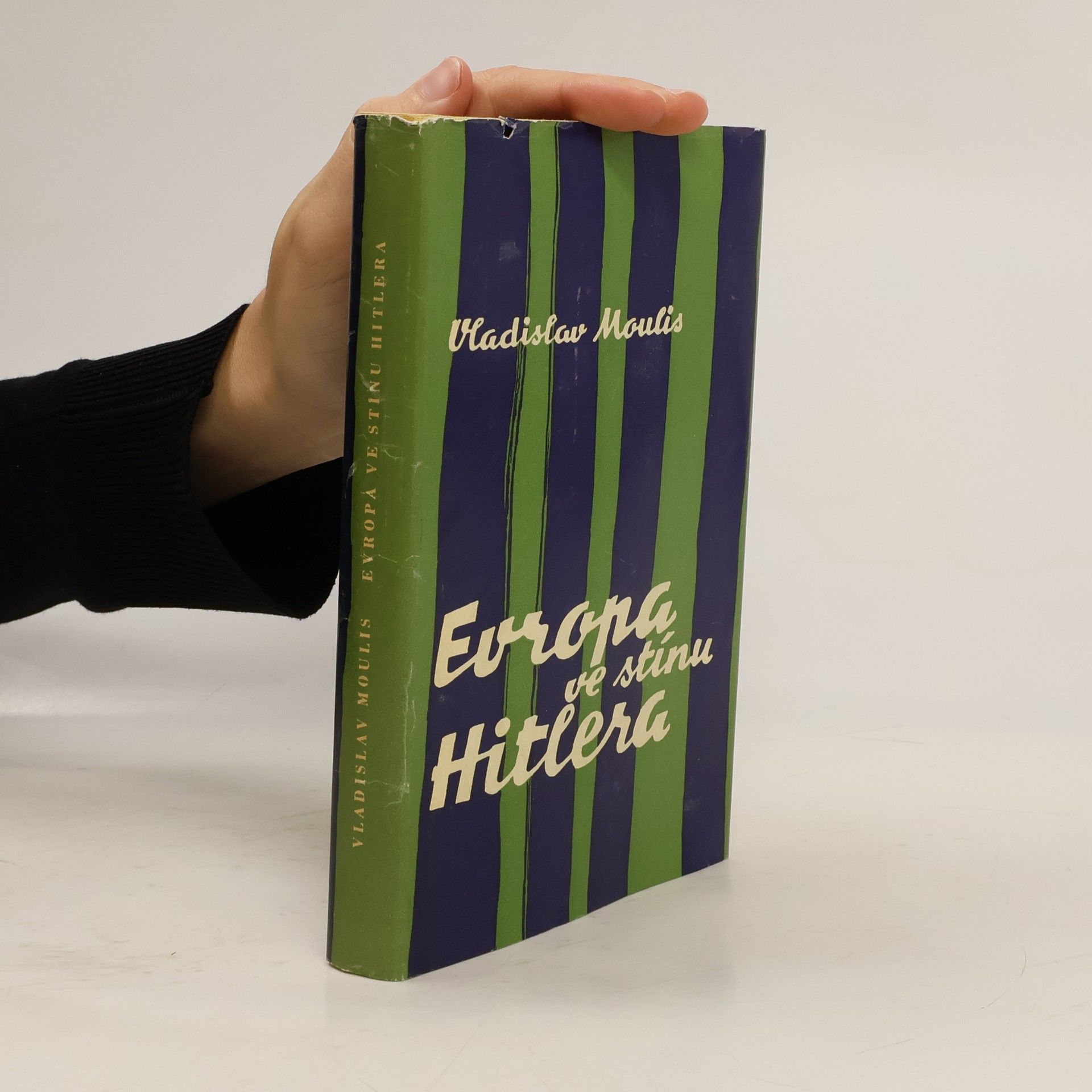 Evropa ve stínu Hitlera