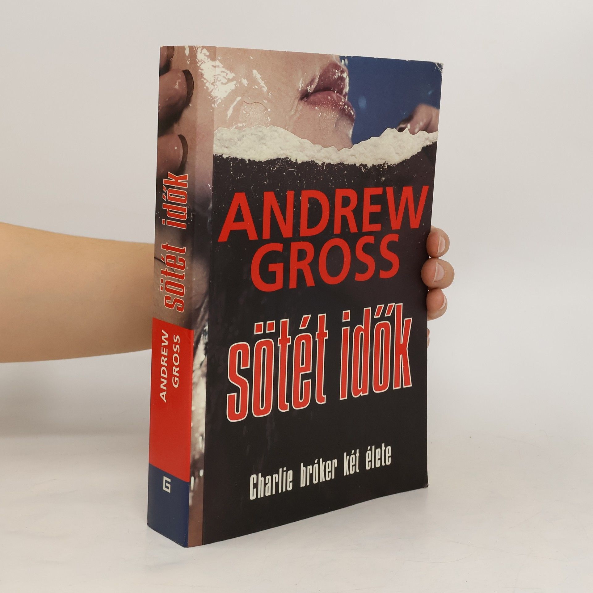 Andrew Gross Sötét idők