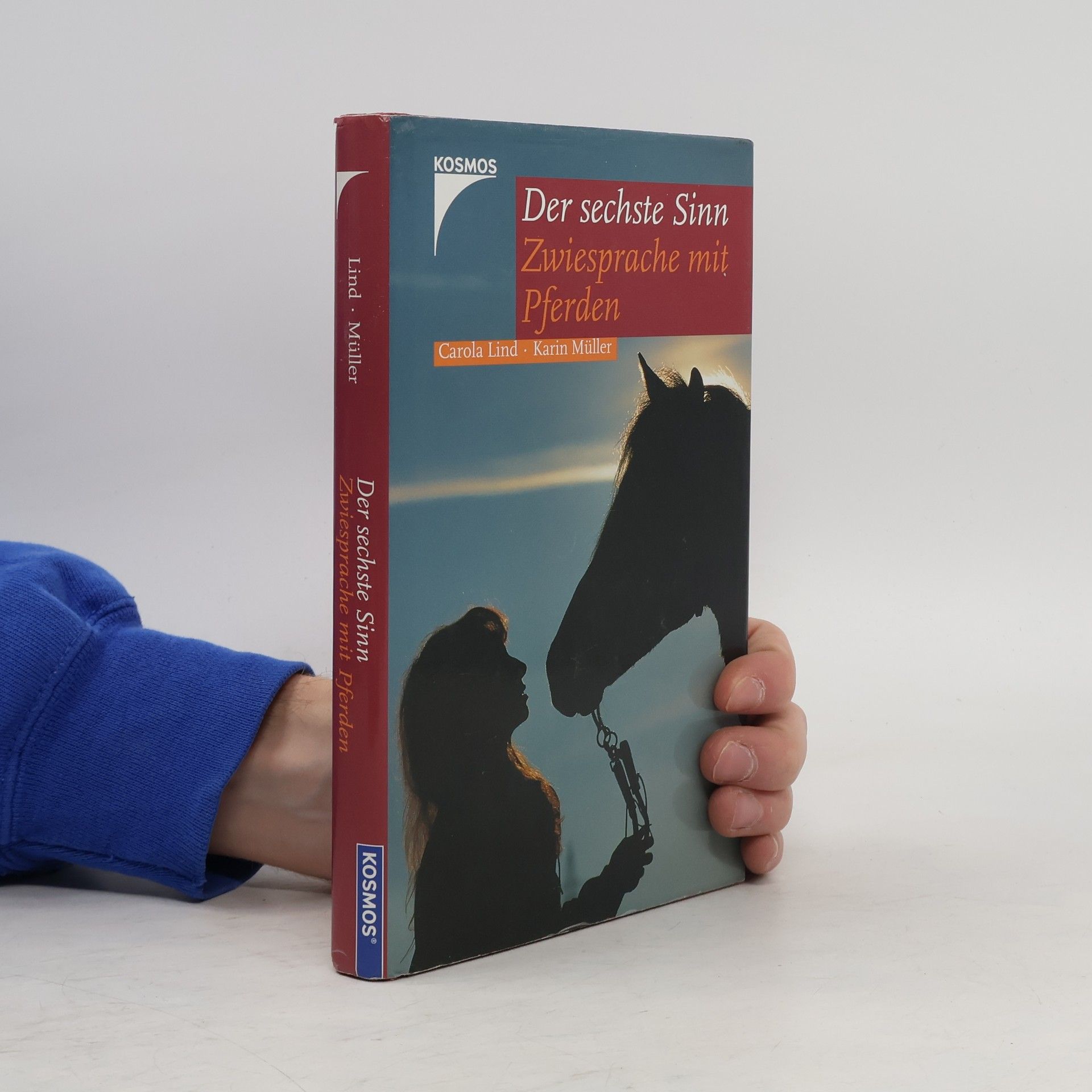 Carola Lind Der sechste Sinn