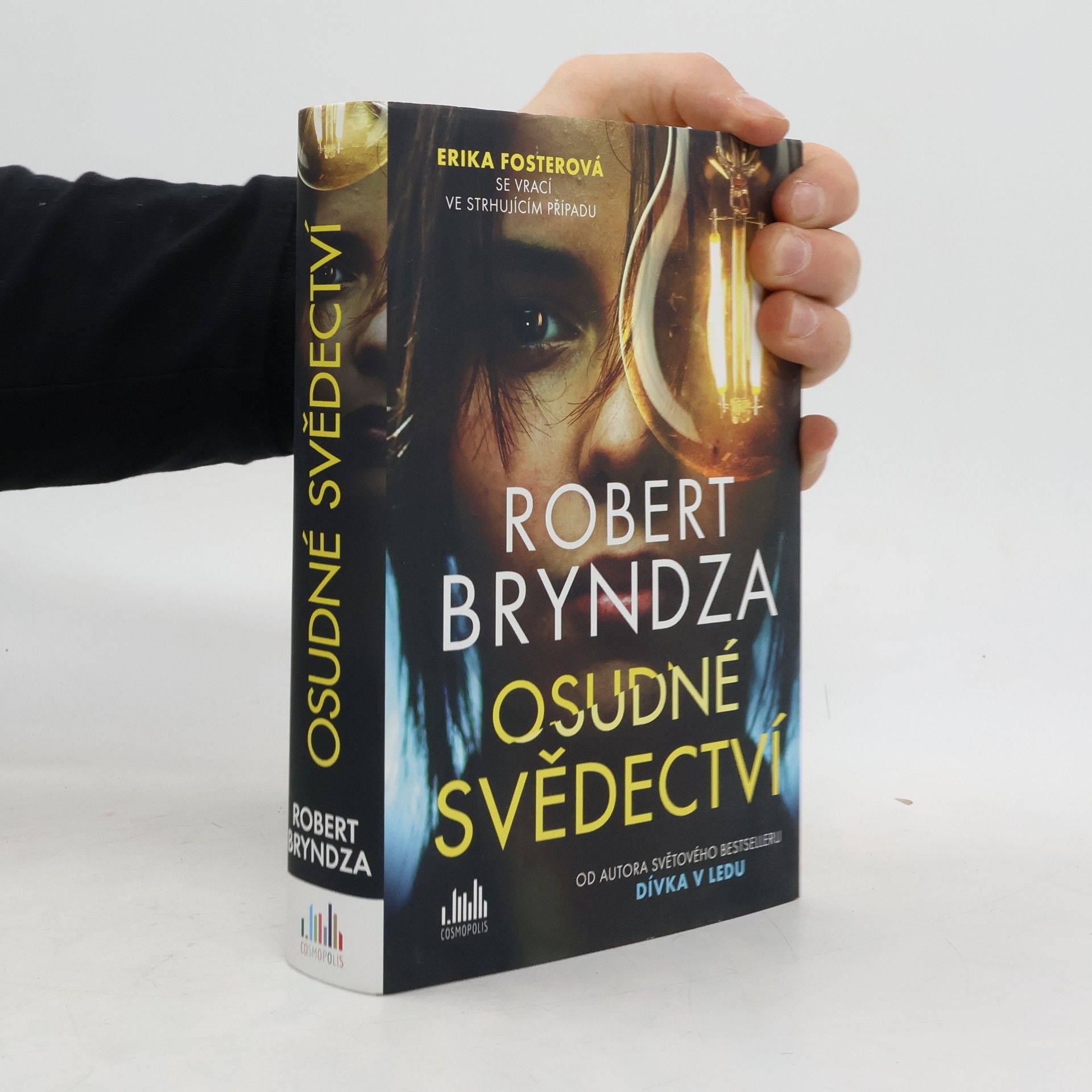 Robert Bryndza Osudné svědectví