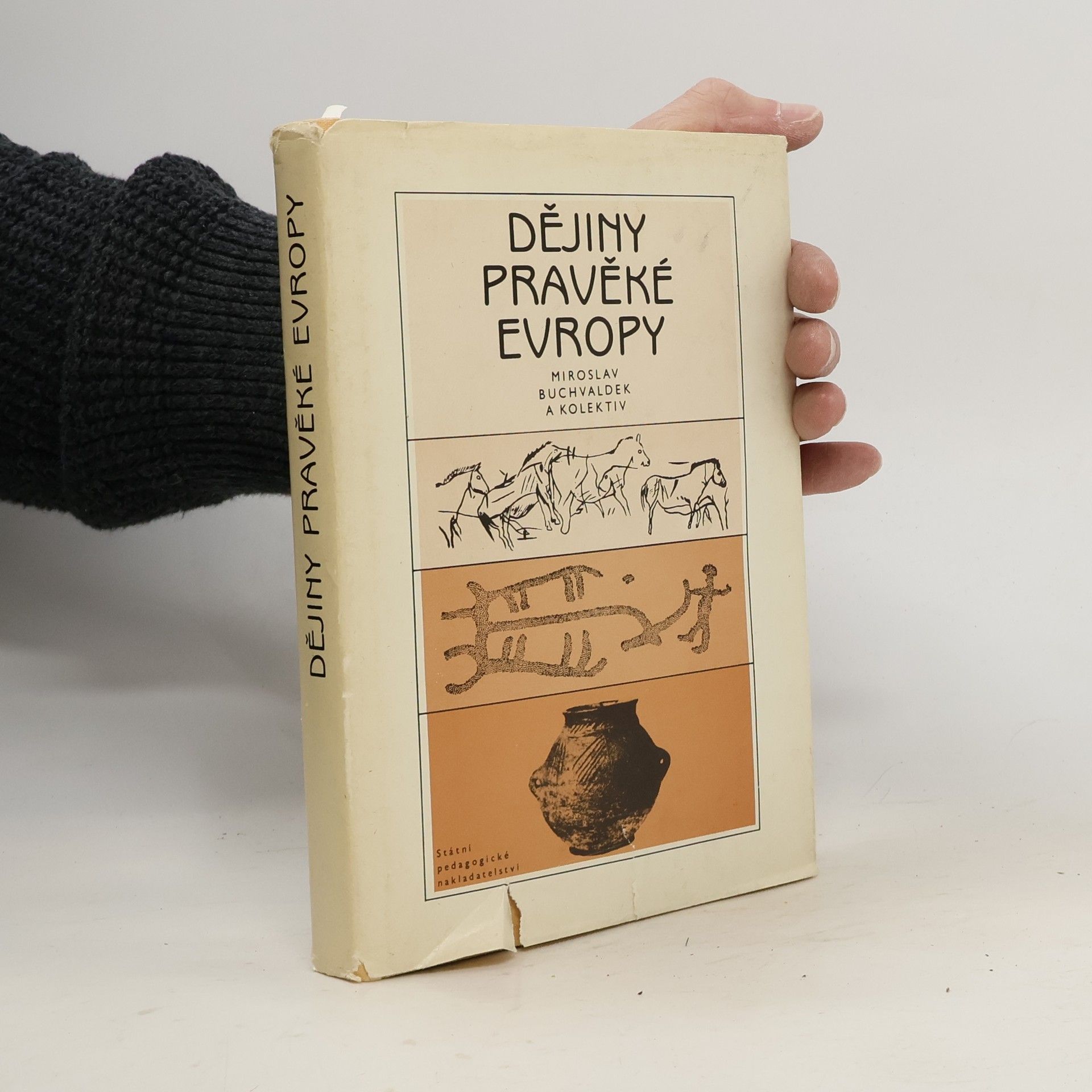 Miroslav Buchvaldek Dějiny pravěké Evropy