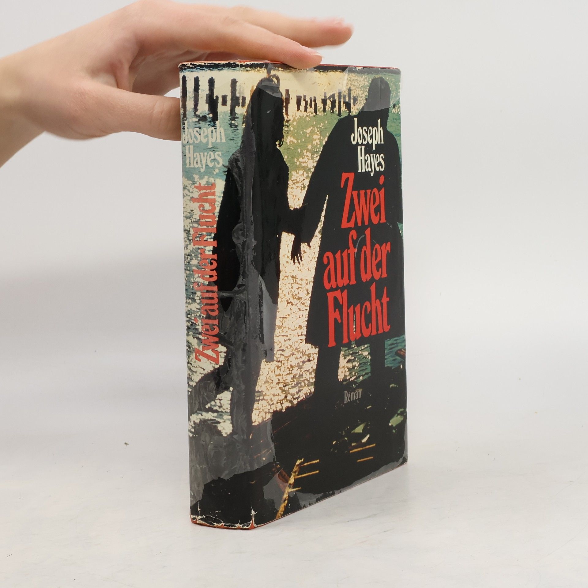 Joseph Hayes Zwei auf der Flucht