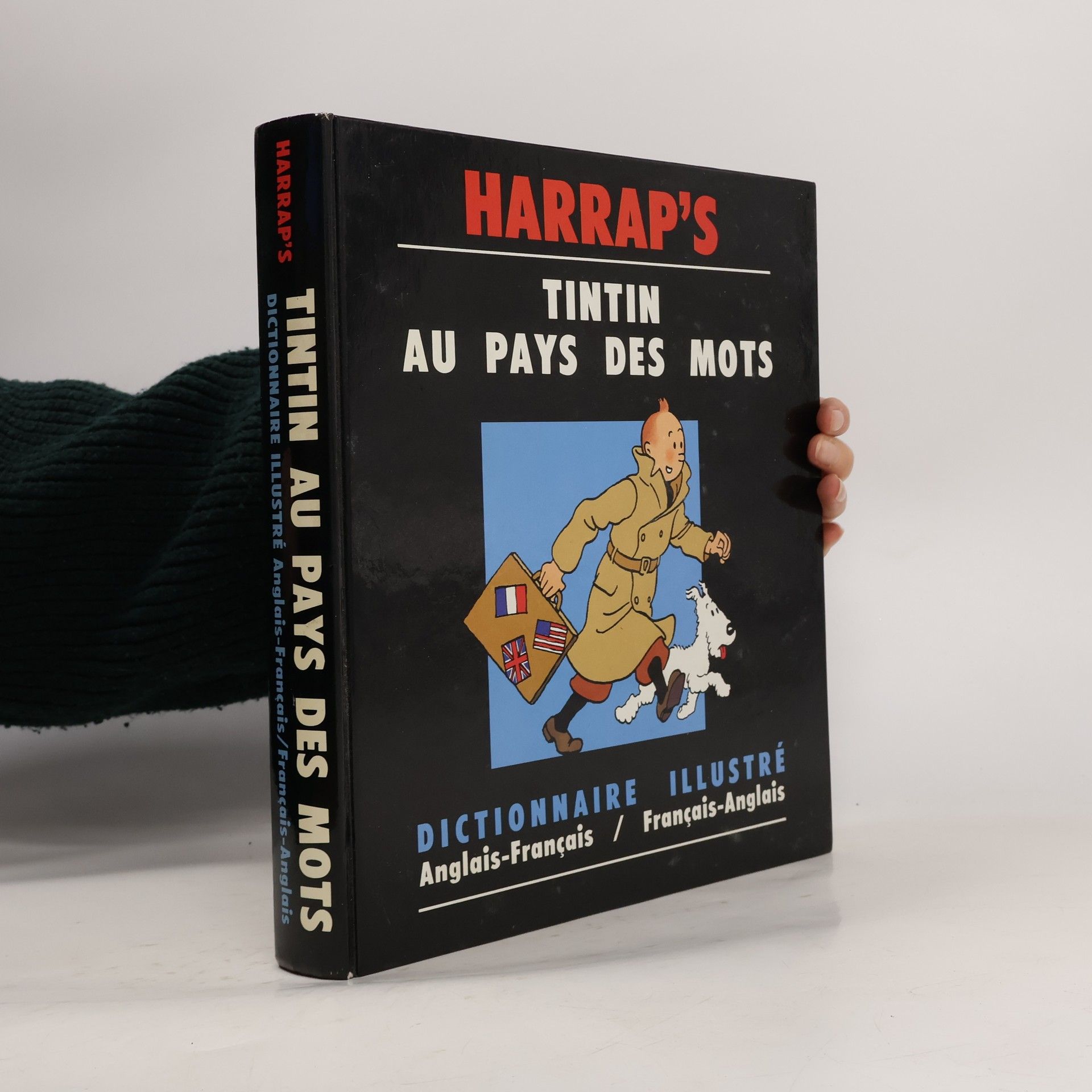 Hélène Houssemaine-Florent Tintin au pays des mots