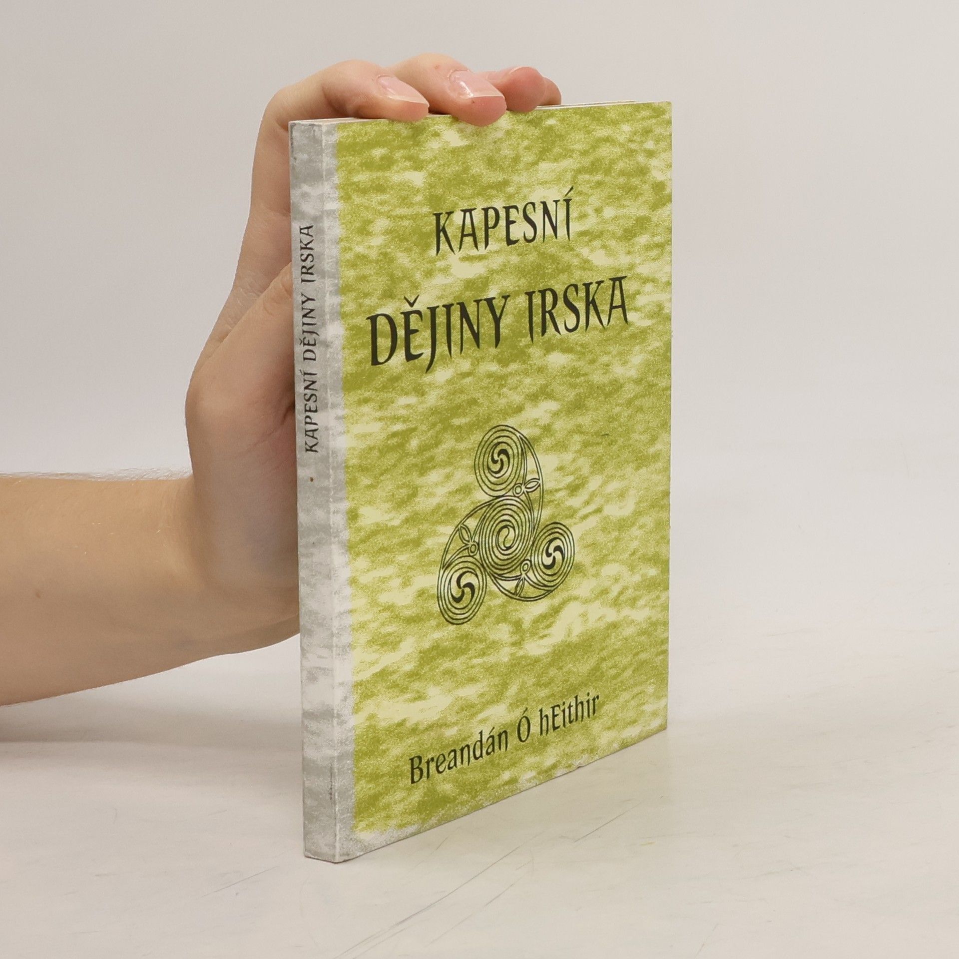 Breandán Ó. Eithir Kapesní dějiny Irska