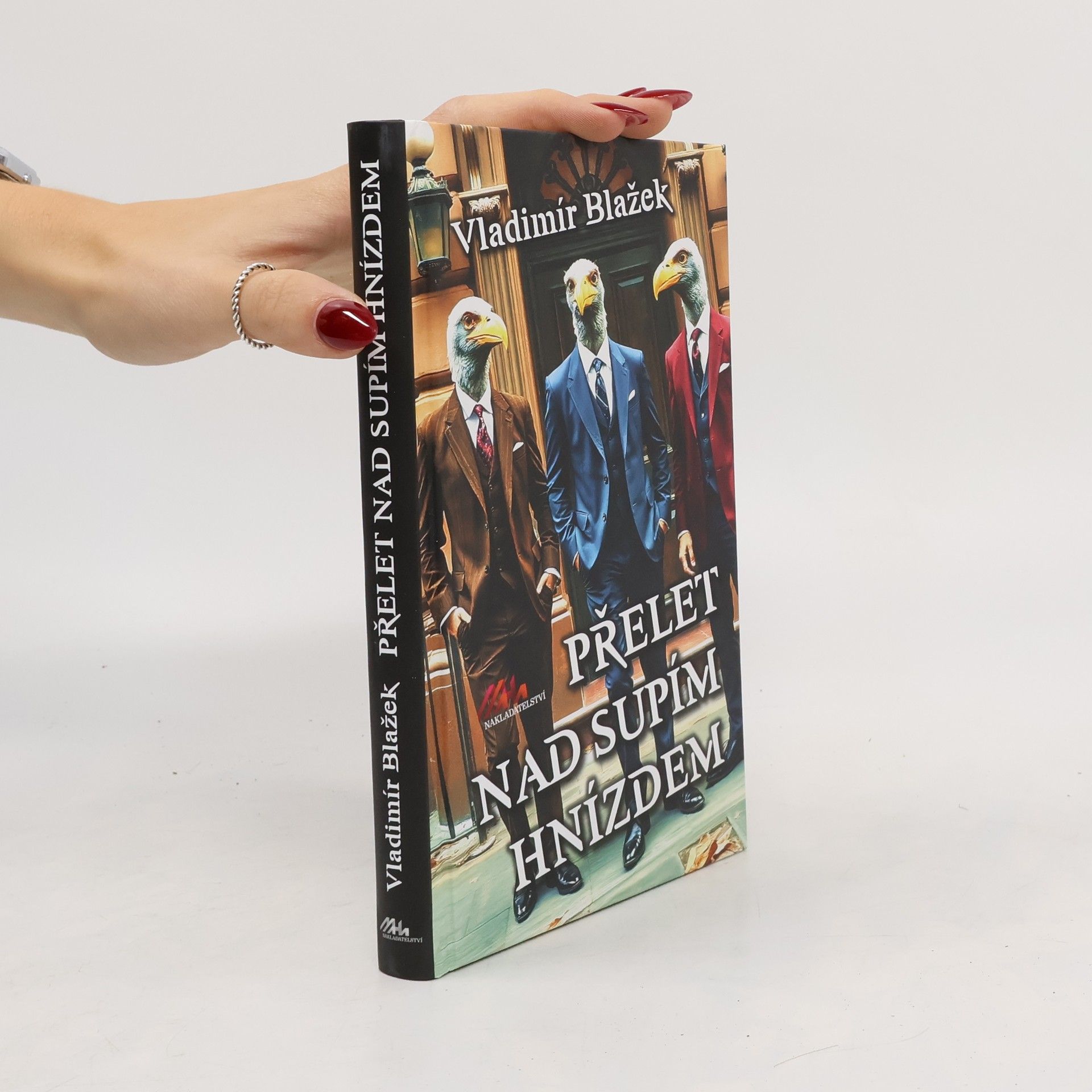 Vladimír Blažek Přelet nad supím hnízdem