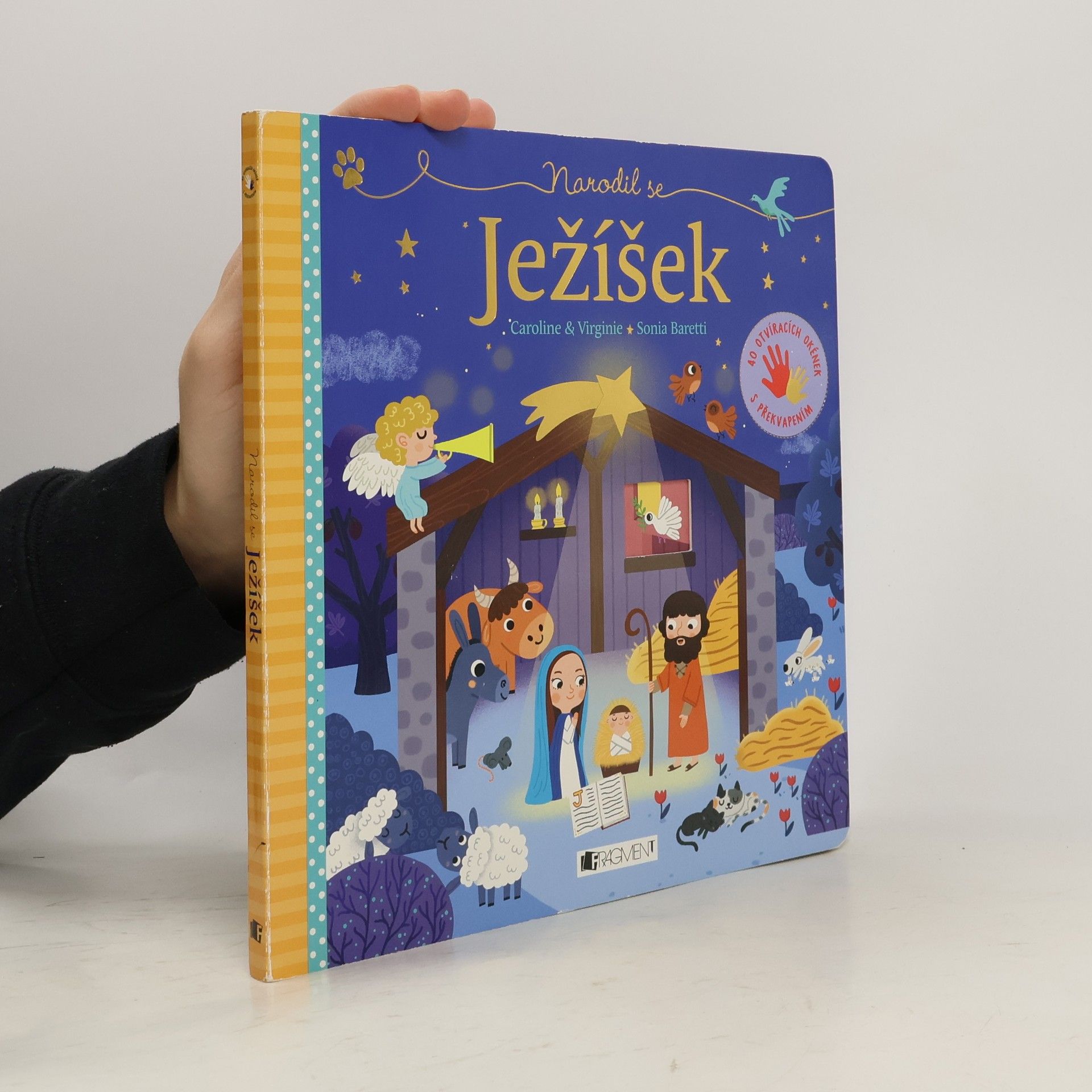 Virginie Aladjidi Narodil se Ježíšek