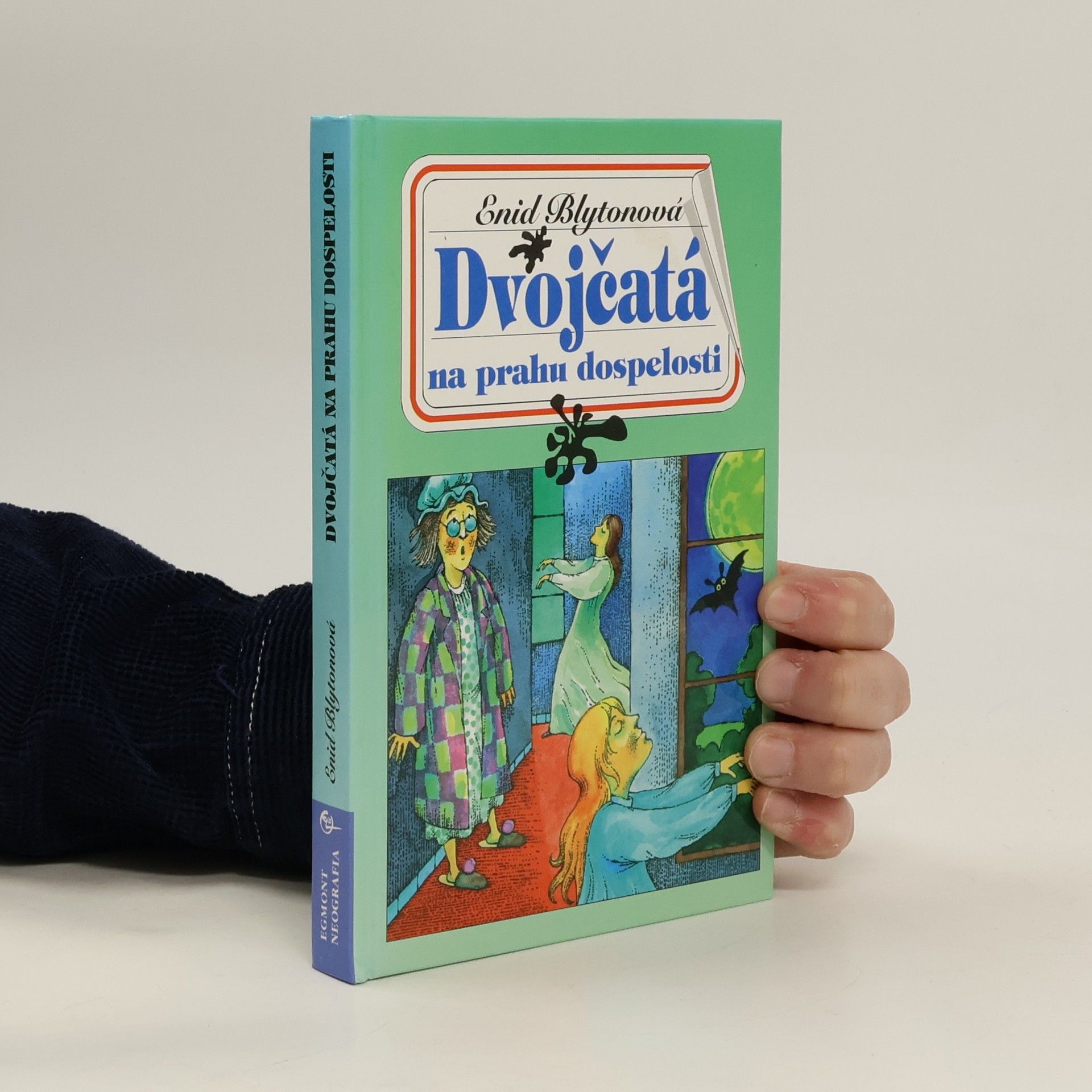 Enid Blyton Dvojčatá na prahu dospelosti