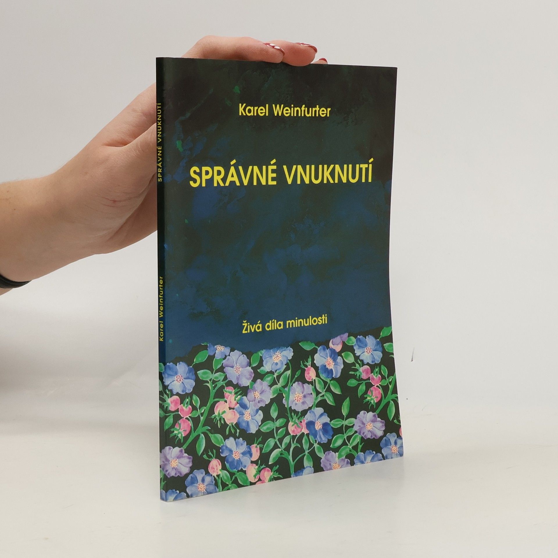 Karel Weinfurter Správné vnuknutí