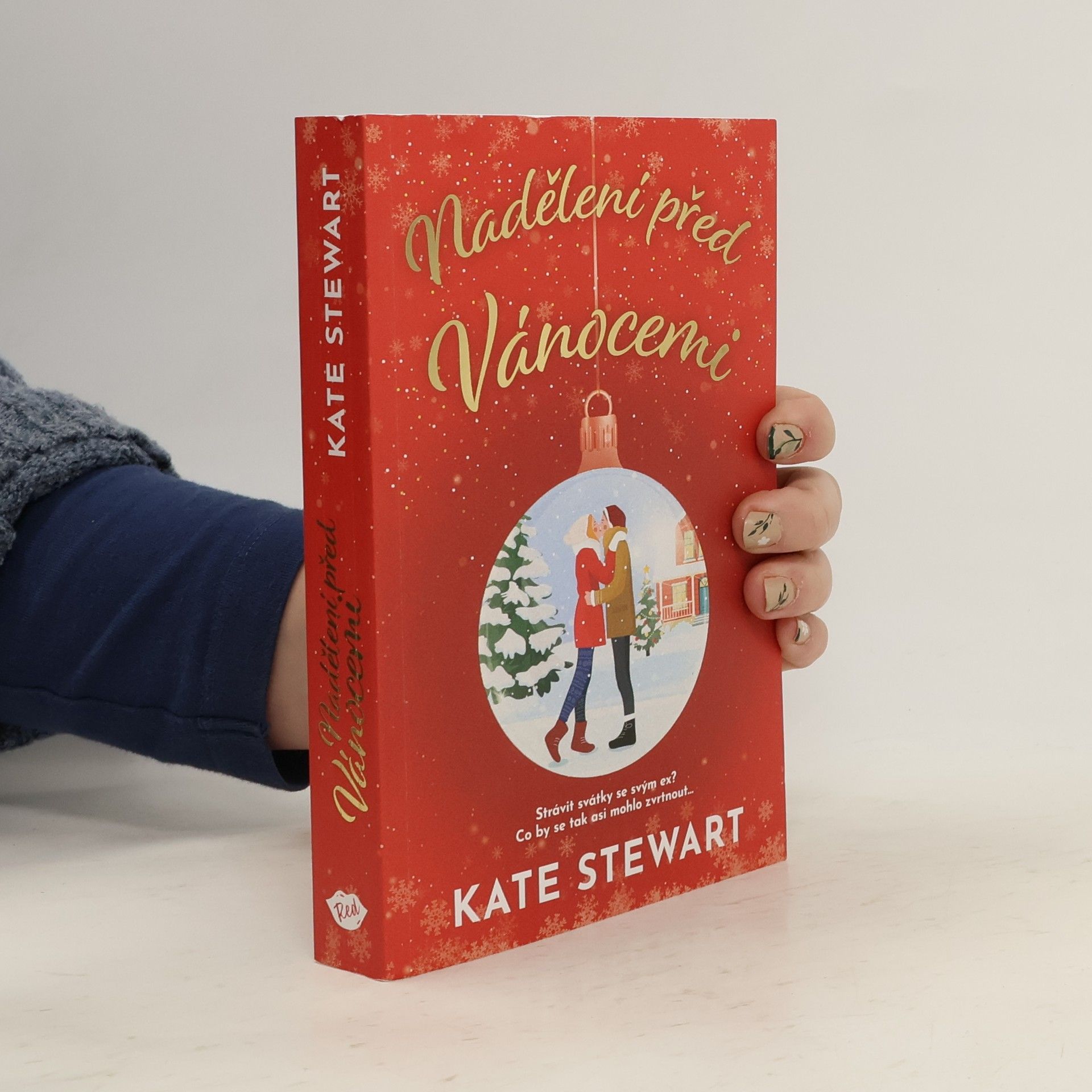 Kate Stewart Nadělení před Vánocemi