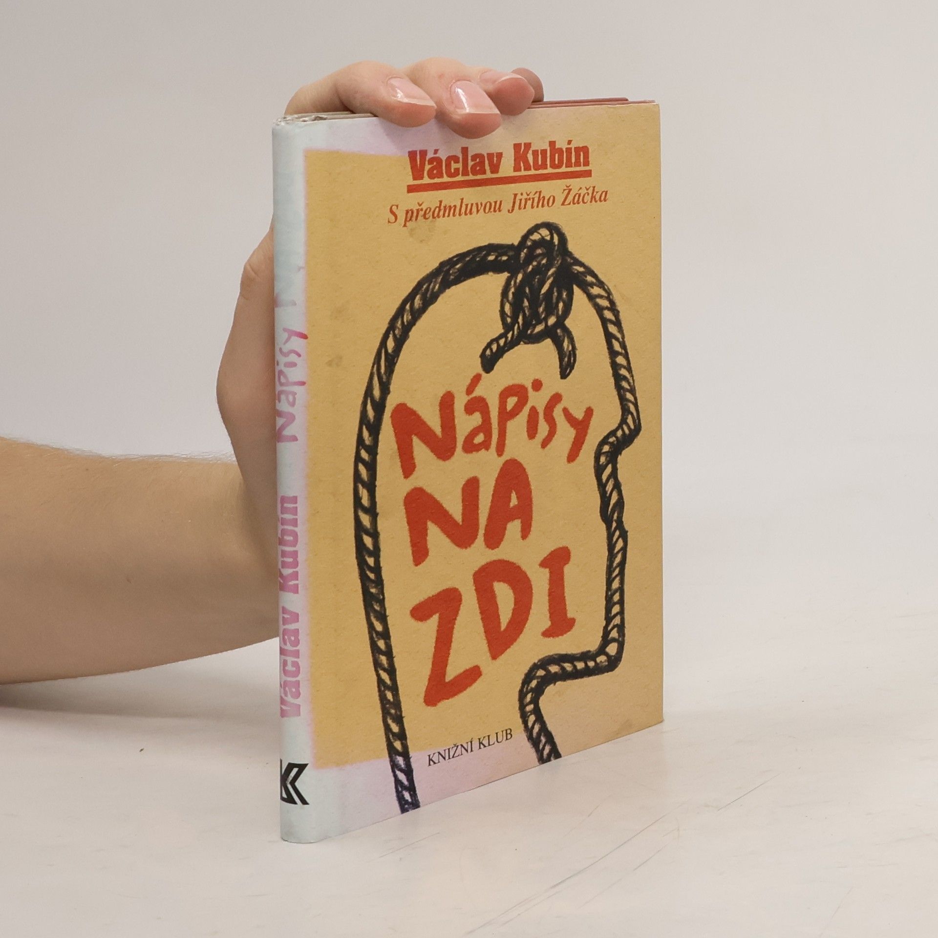 Nápisy na zdi: Metaforismy, aforismy, postřehy