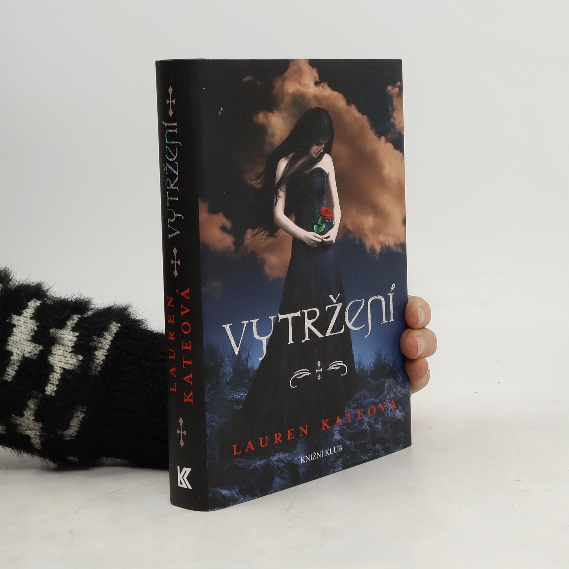 Lauren Kate Vytržení