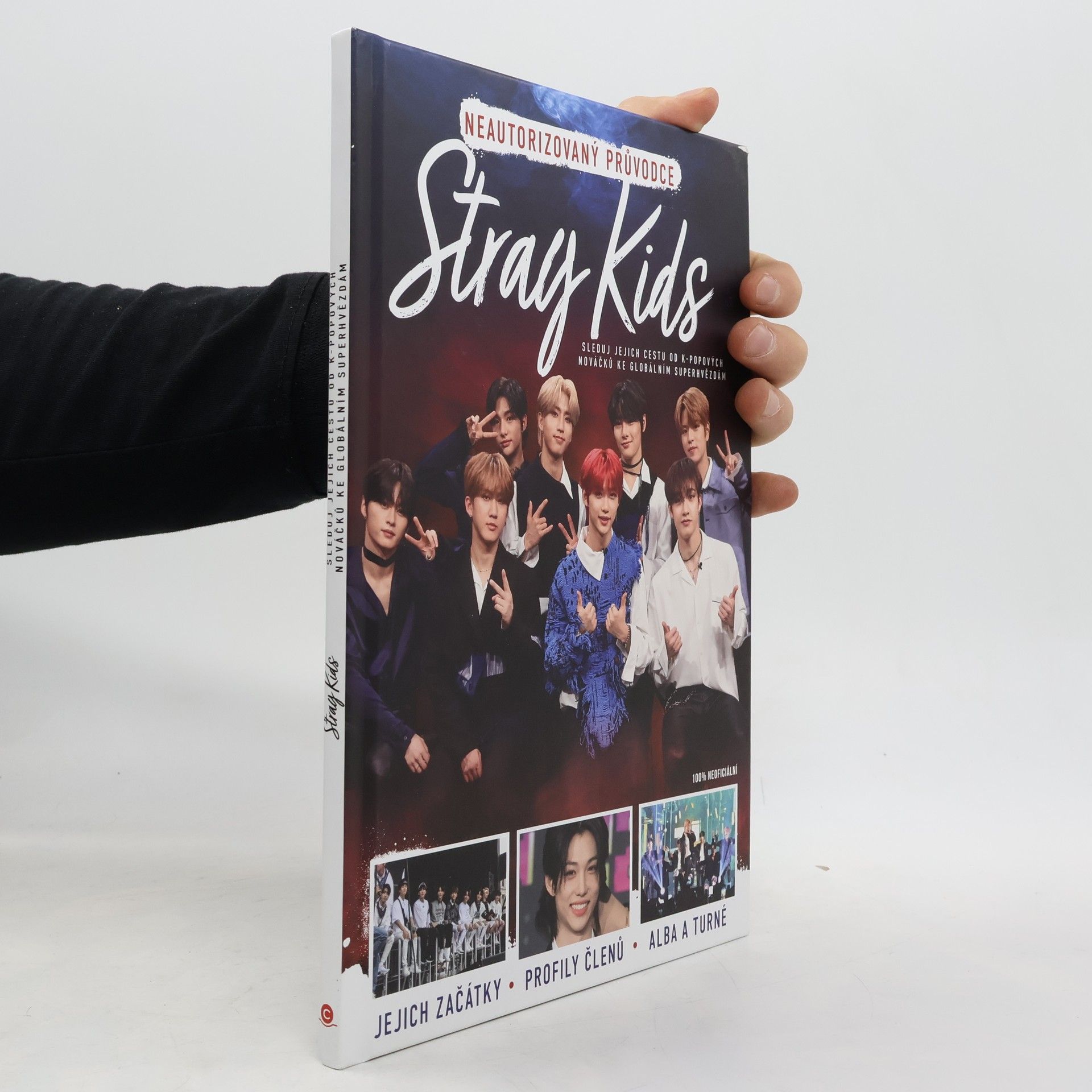 Autorenkollektiv Stray Kids