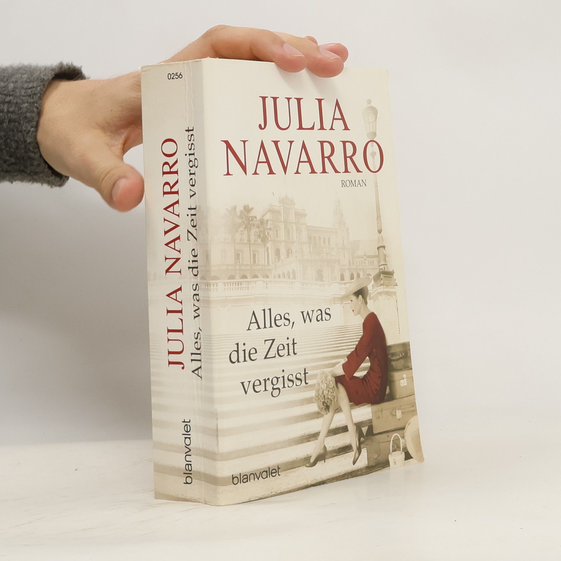 Julia Navarro Alles, was die Zeit vergisst