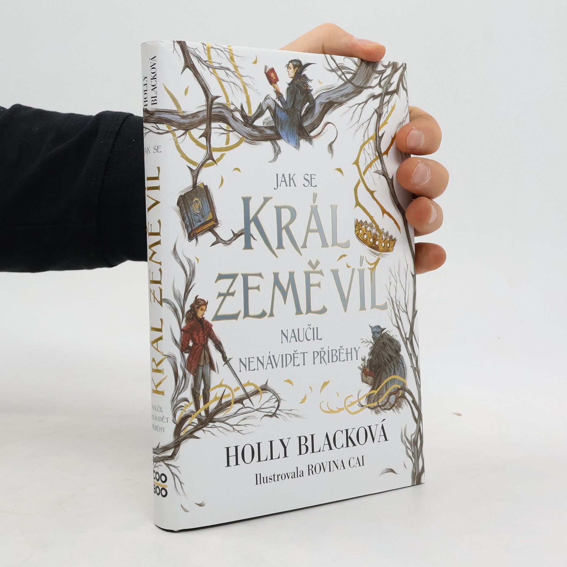 Holly Black Jak se král Země víl naučil nenávidět příběhy