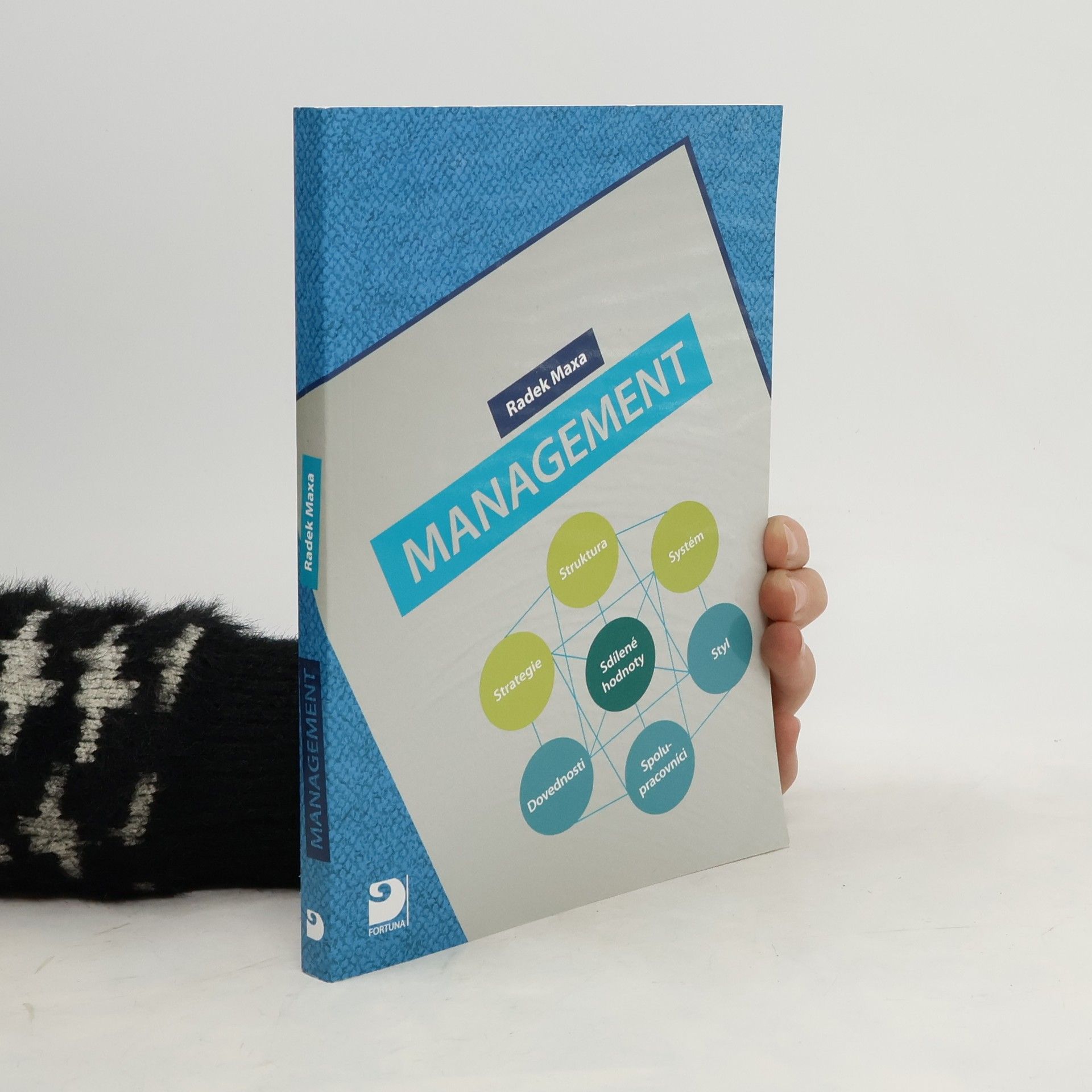 Radek Maxa Management pro střední školy a vyšší odborné školy