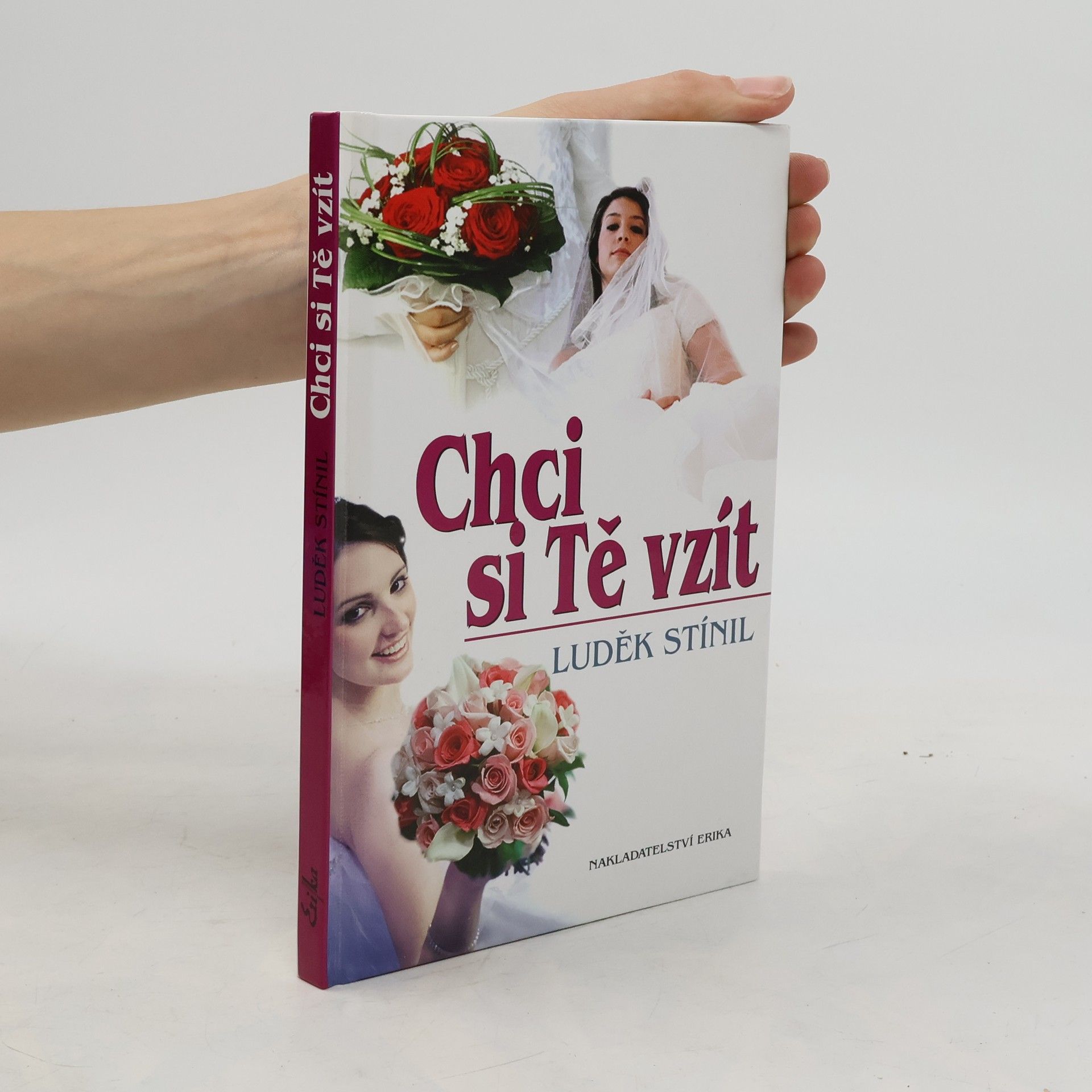 Luděk Stínil Chci si tě vzít