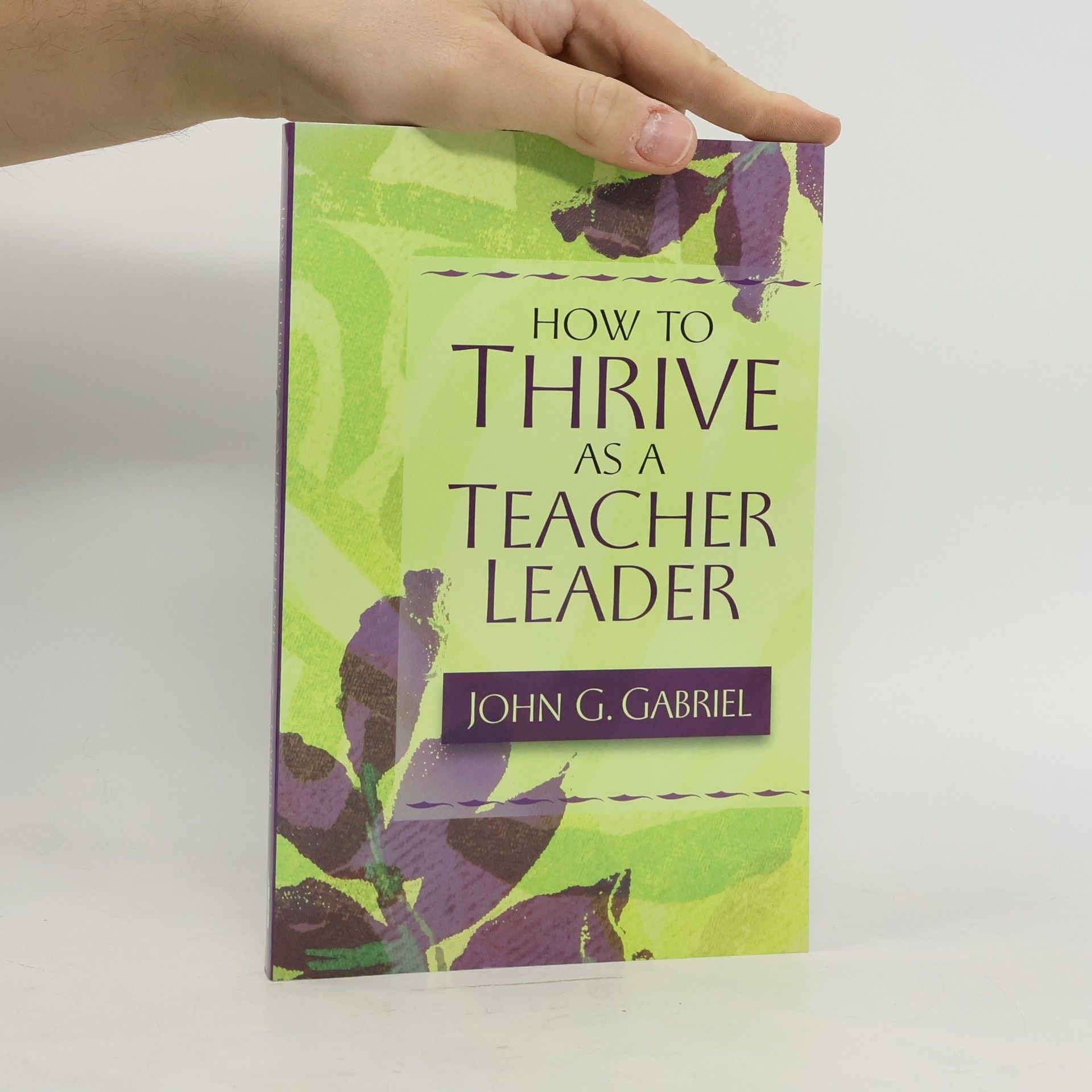 John G Gabriel How to thrive as a teacher leader