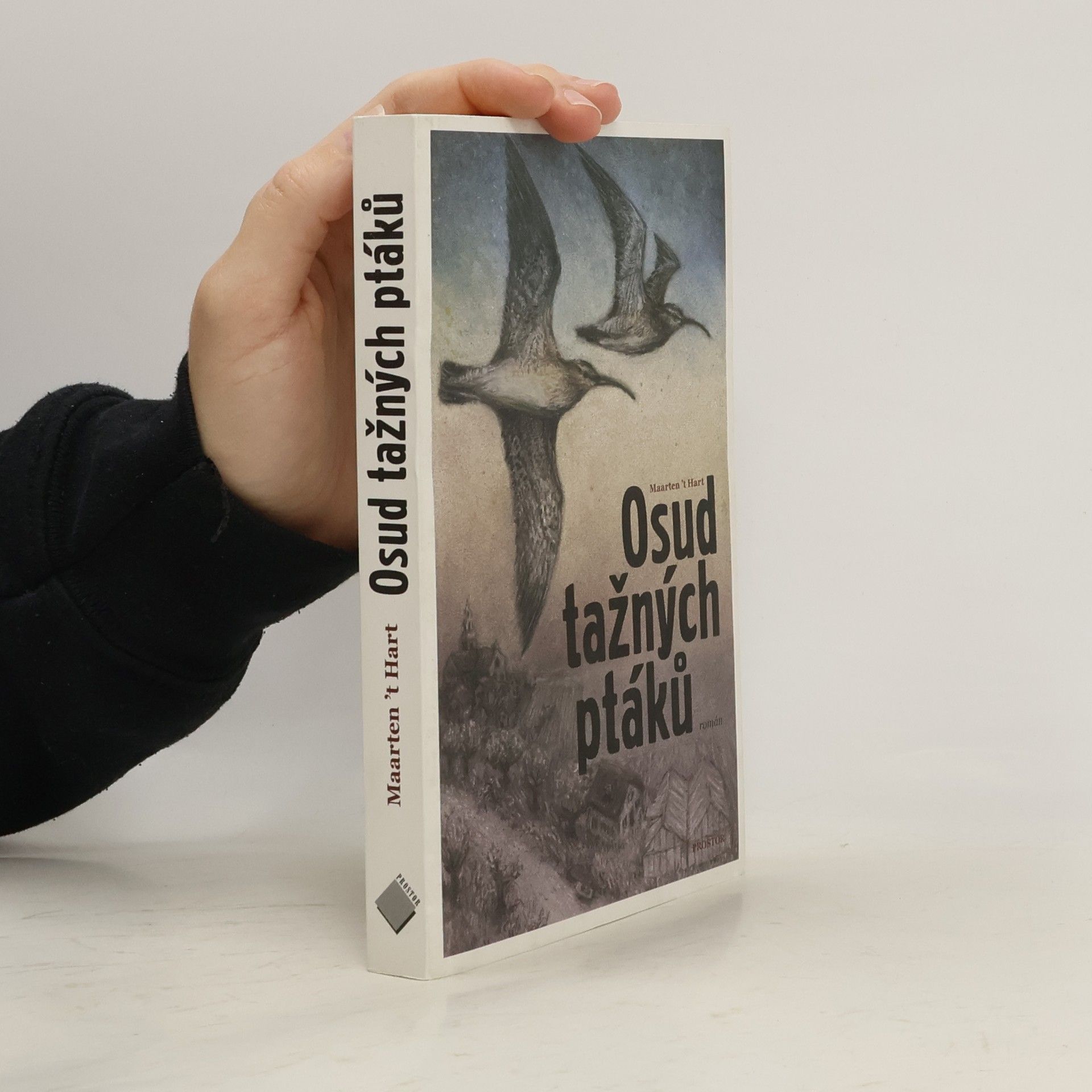 Maarten 't Hart Osud tažných ptáků