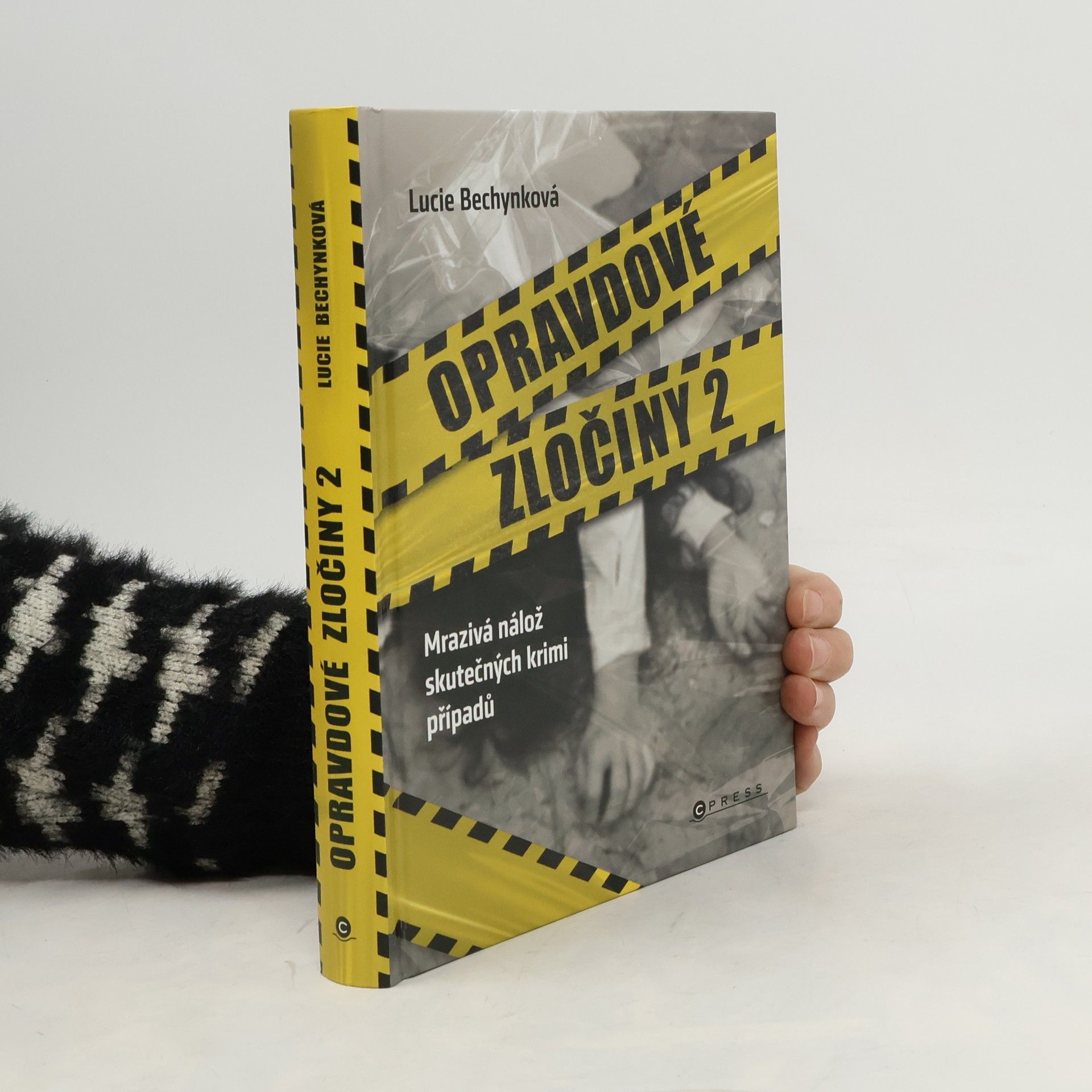 Opravdové zločiny 2