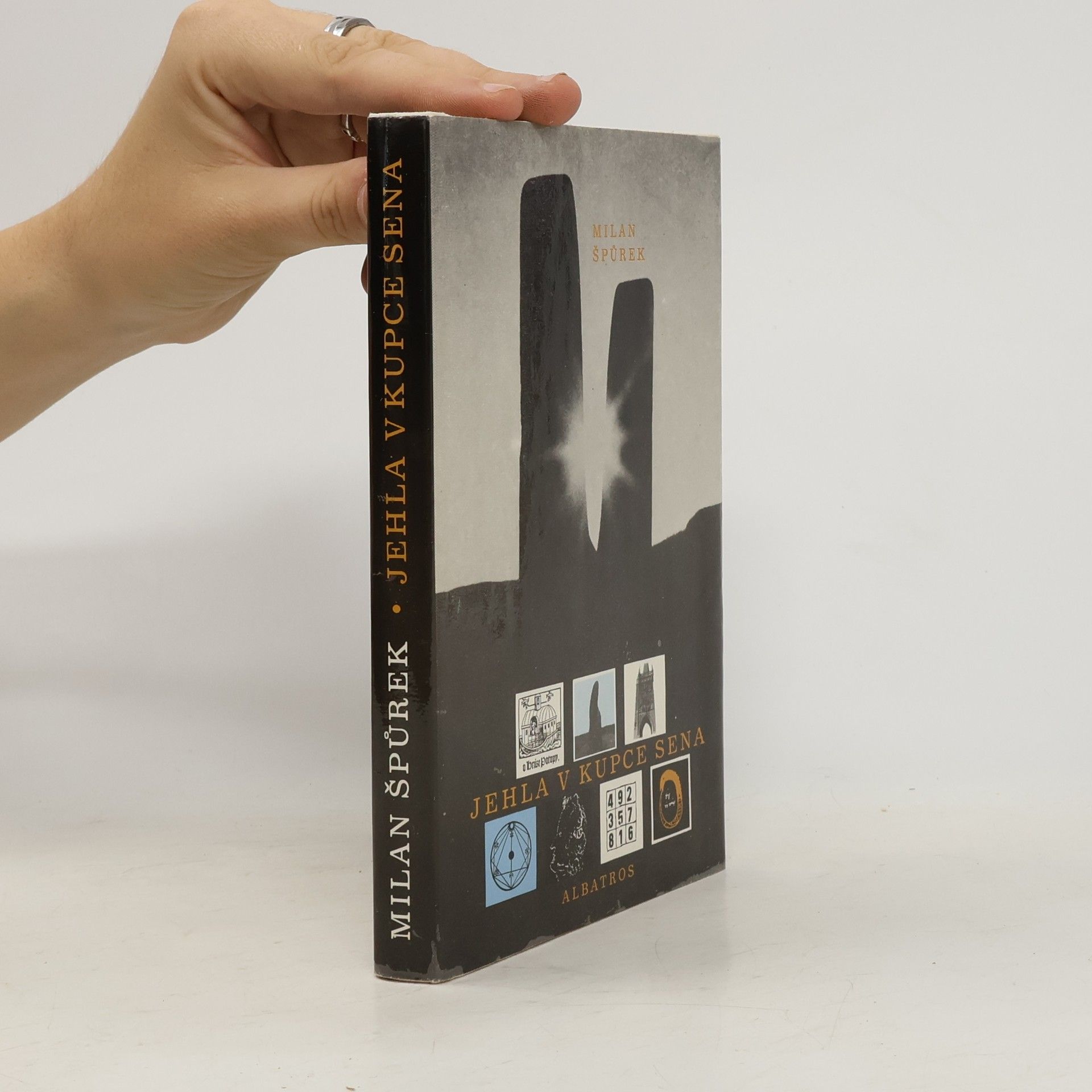 Milan Špůrek Jehla v kupce sena aneb Sedm záhad hledá luštitele