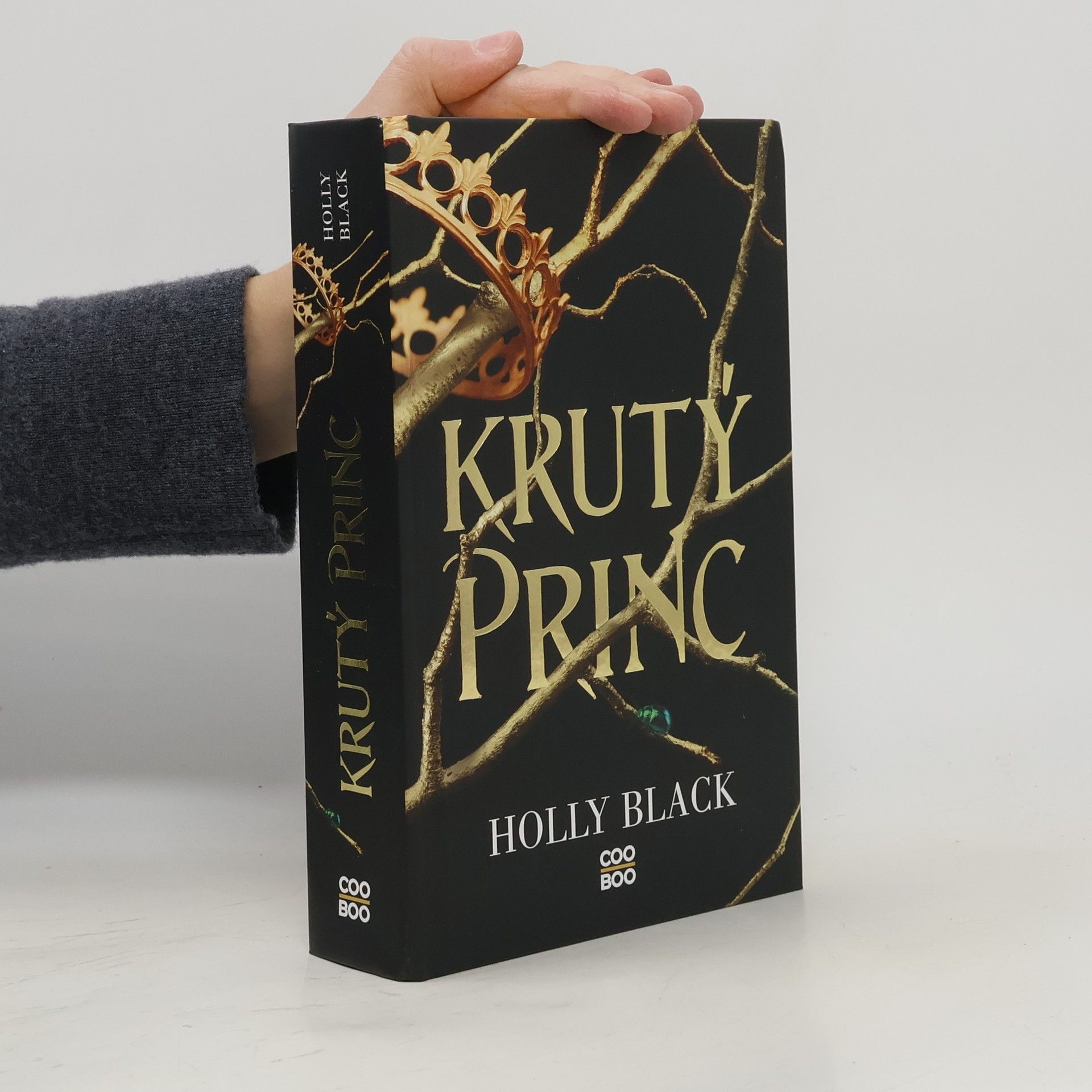 Holly Black Krutý princ