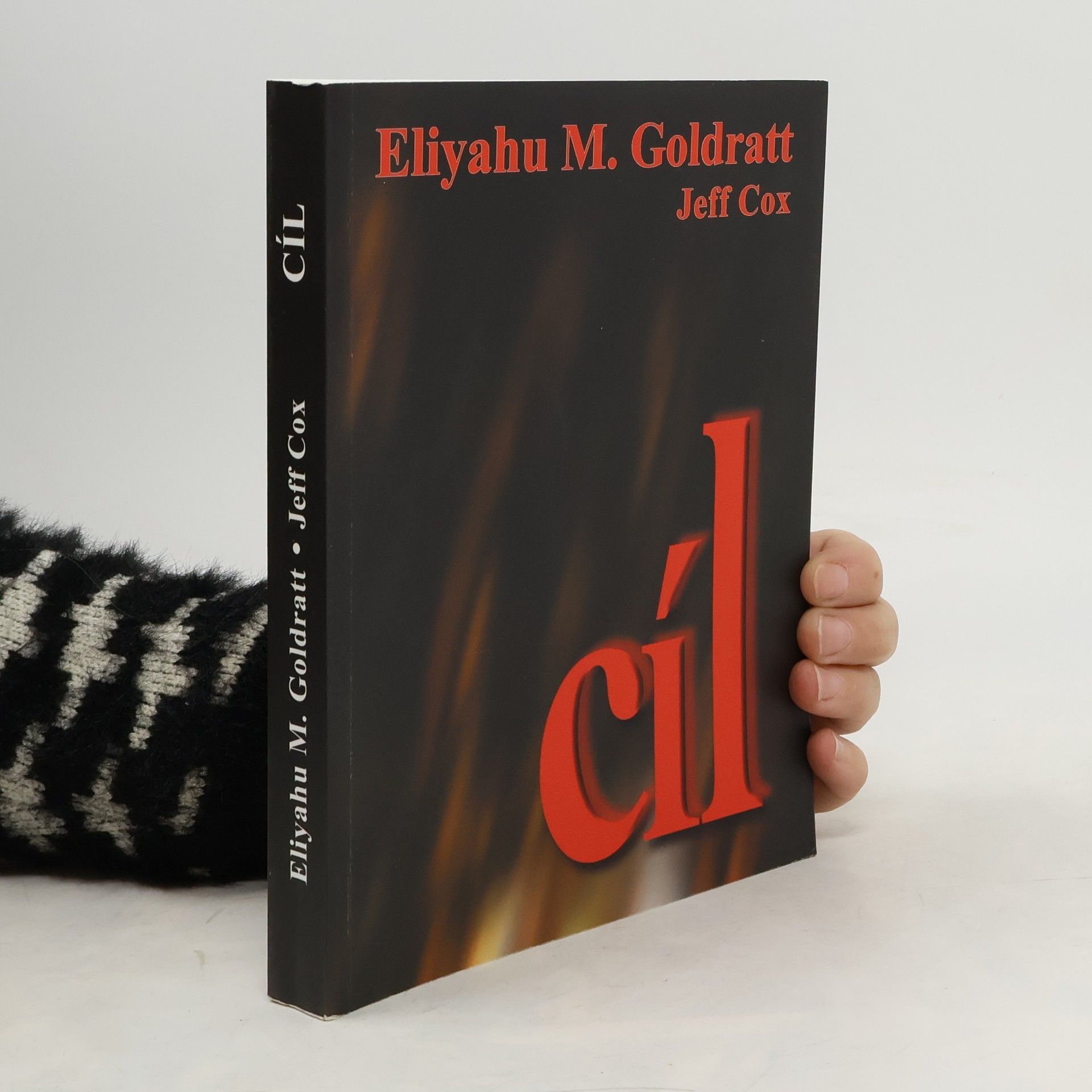 Jeff Cox Cíl: proces trvalého zlepšování