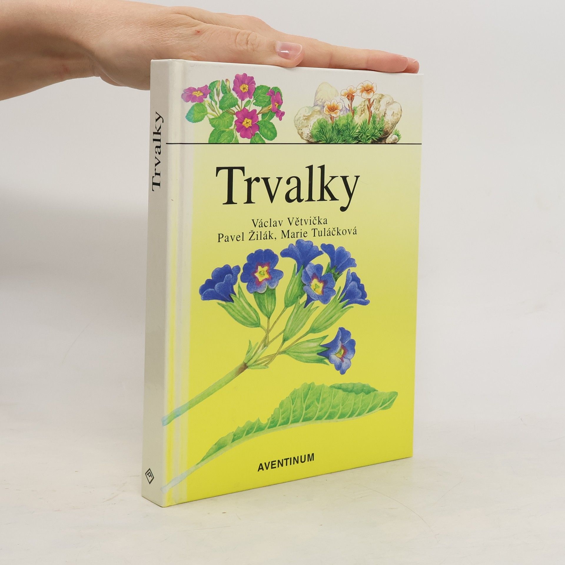 Václav Větvička Trvalky