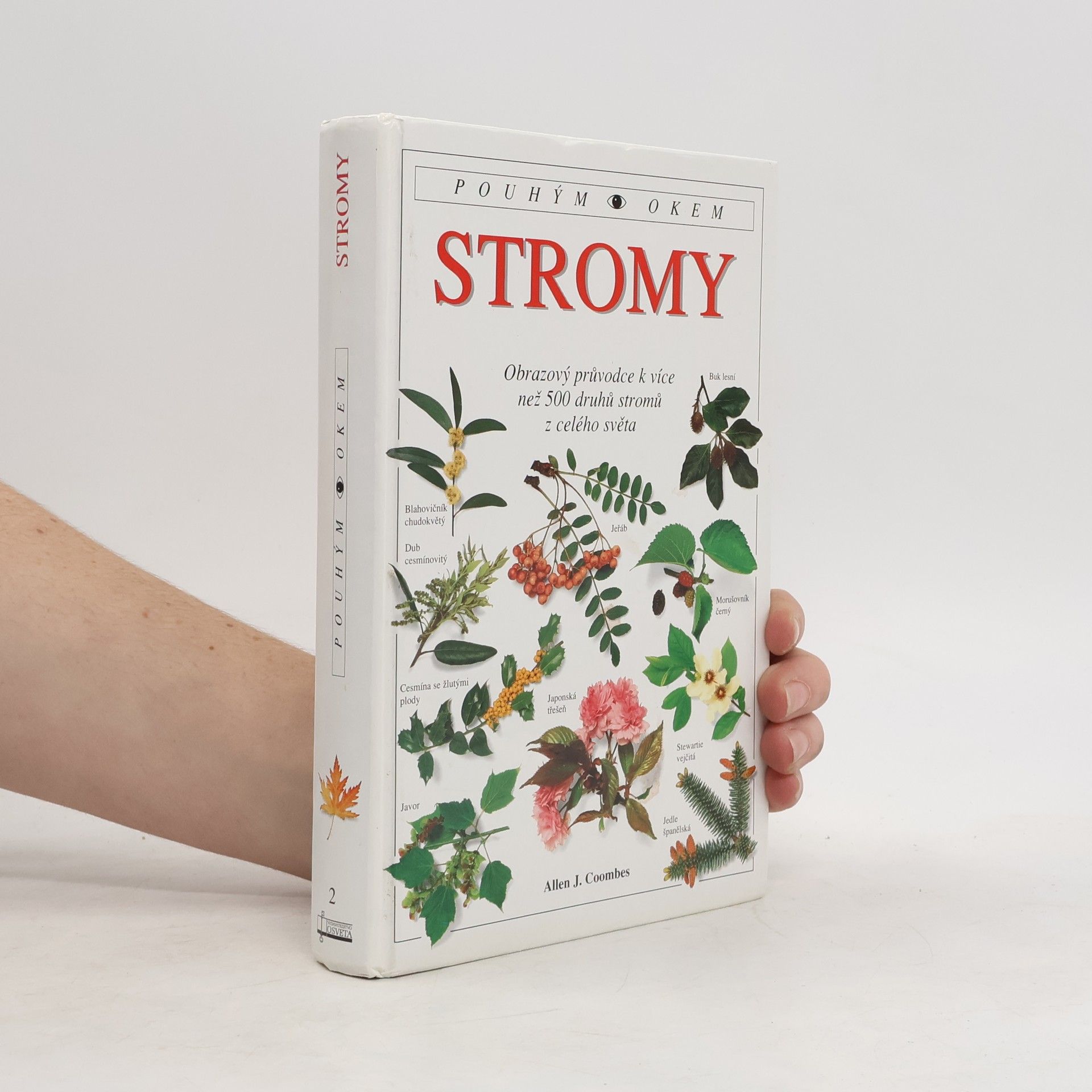 Allen J. Coombes Stromy