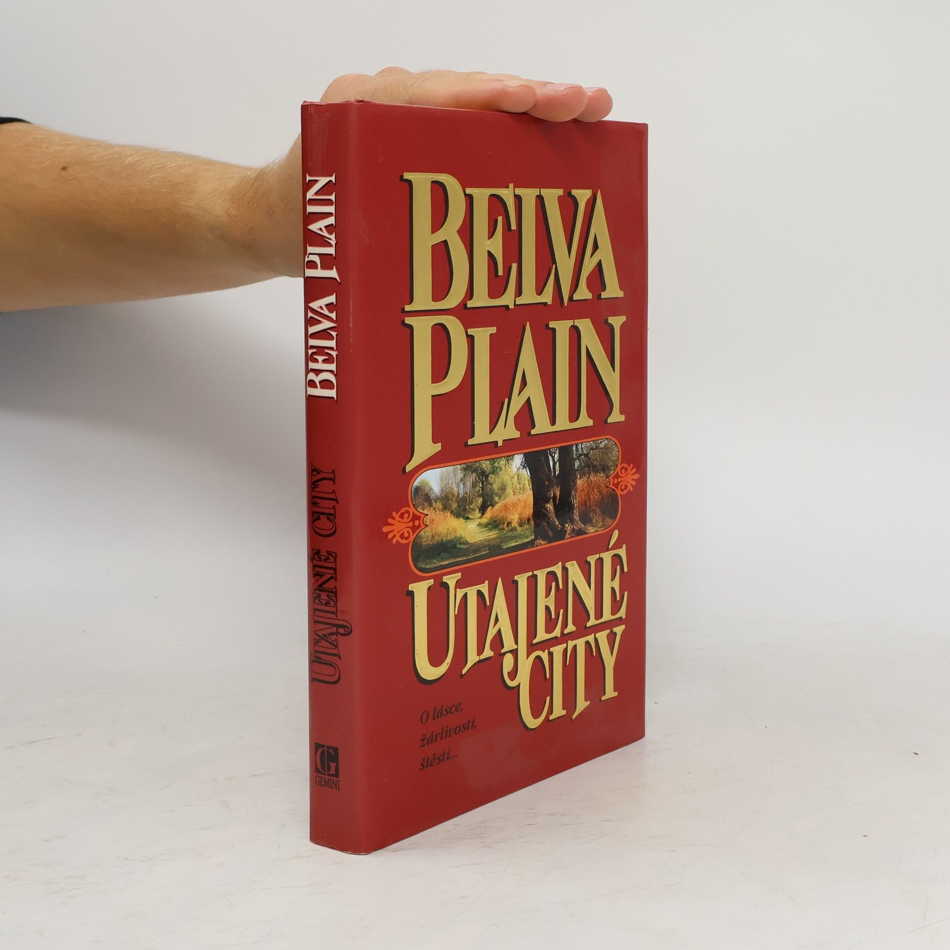 Belva Plain Utajené city