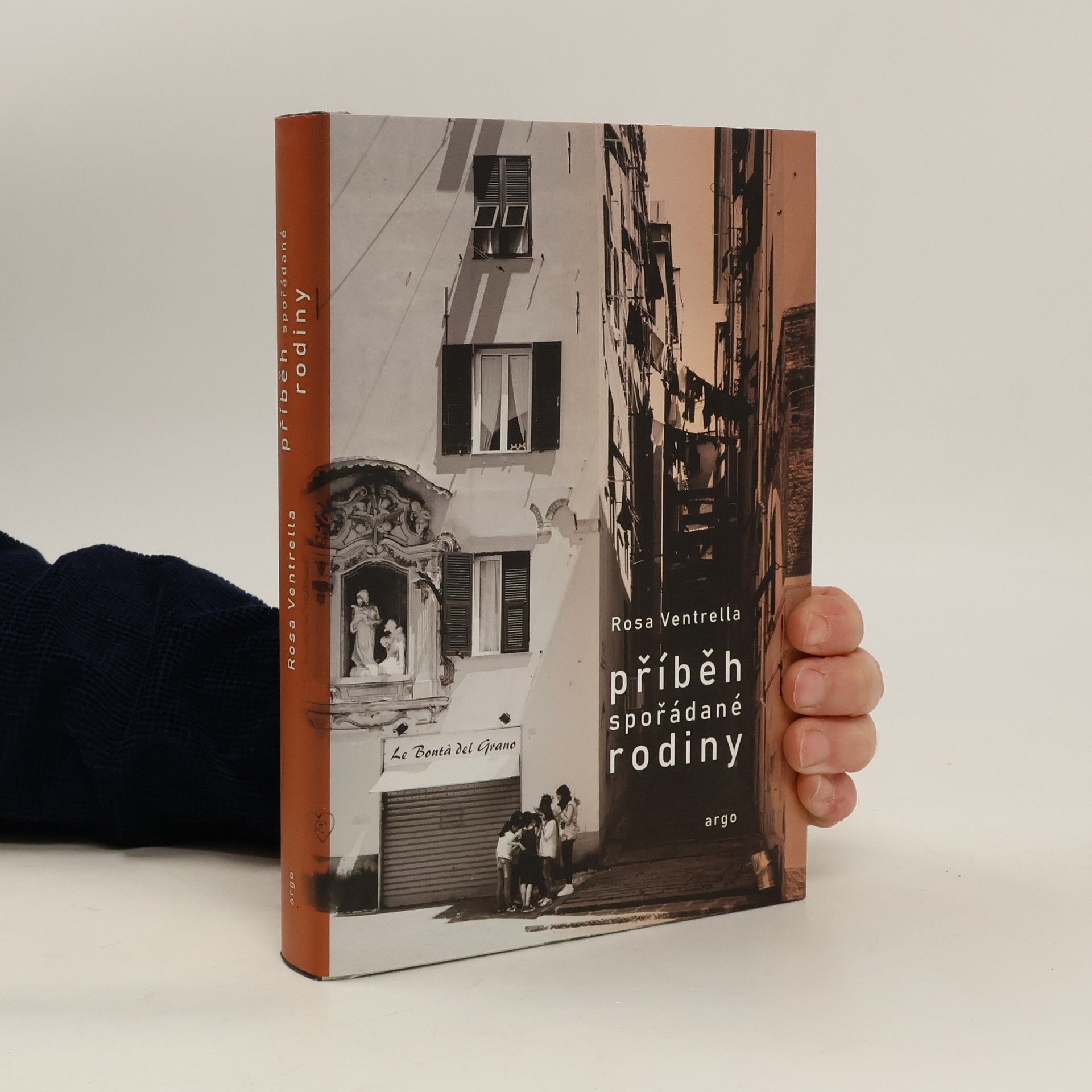 Rosa Ventrella Příběh spořádané rodiny