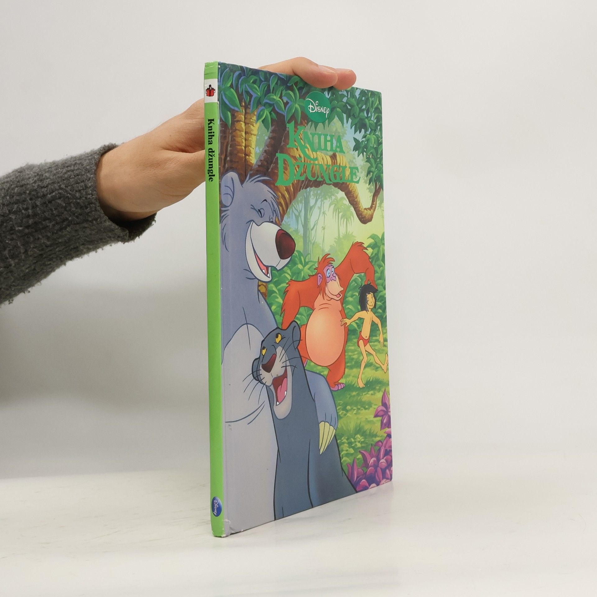 Kolektív autorov Kniha Džungle