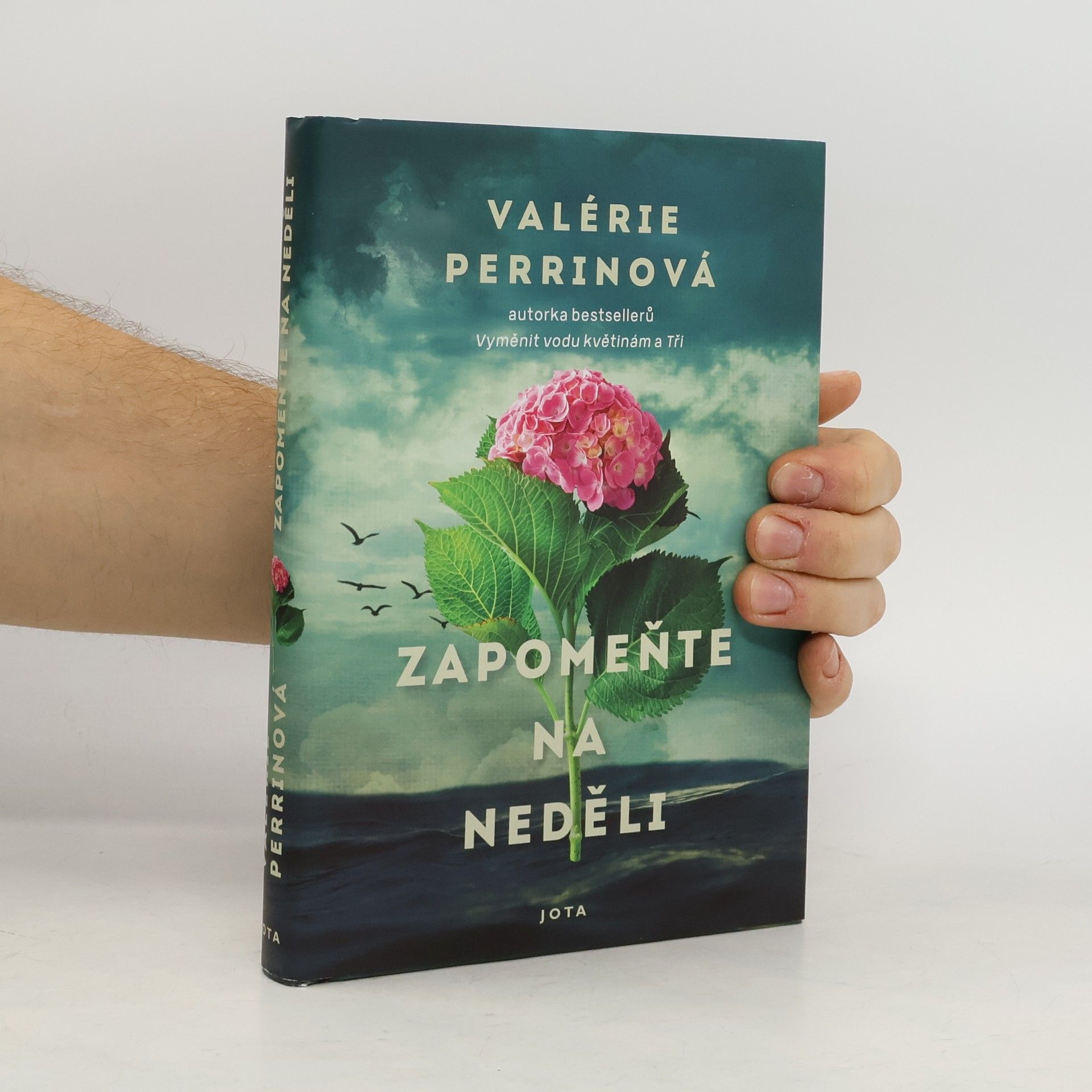 Jitka Řihánková Zapomeňte na neděli