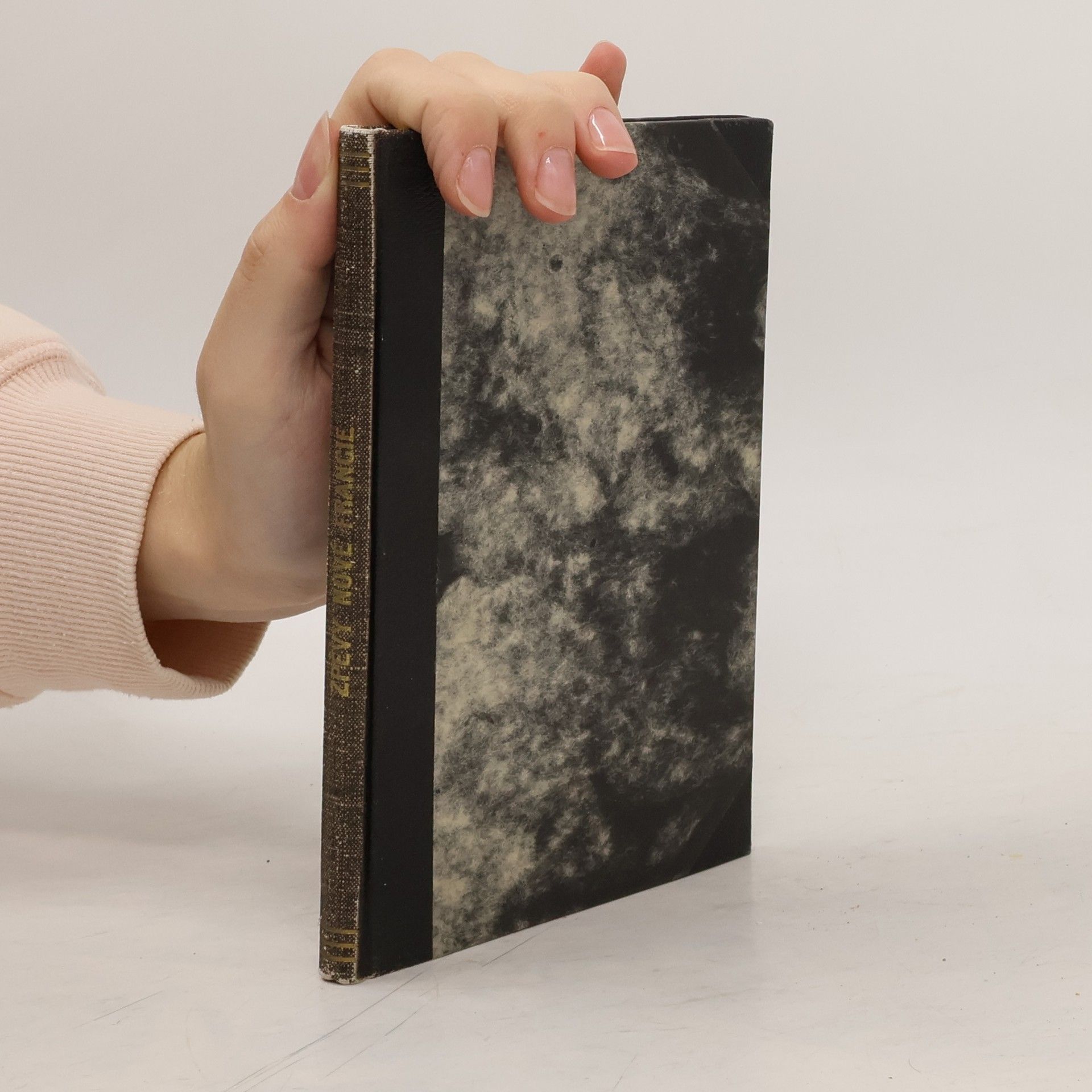 Jean Deninx Zpěvy nové Francie