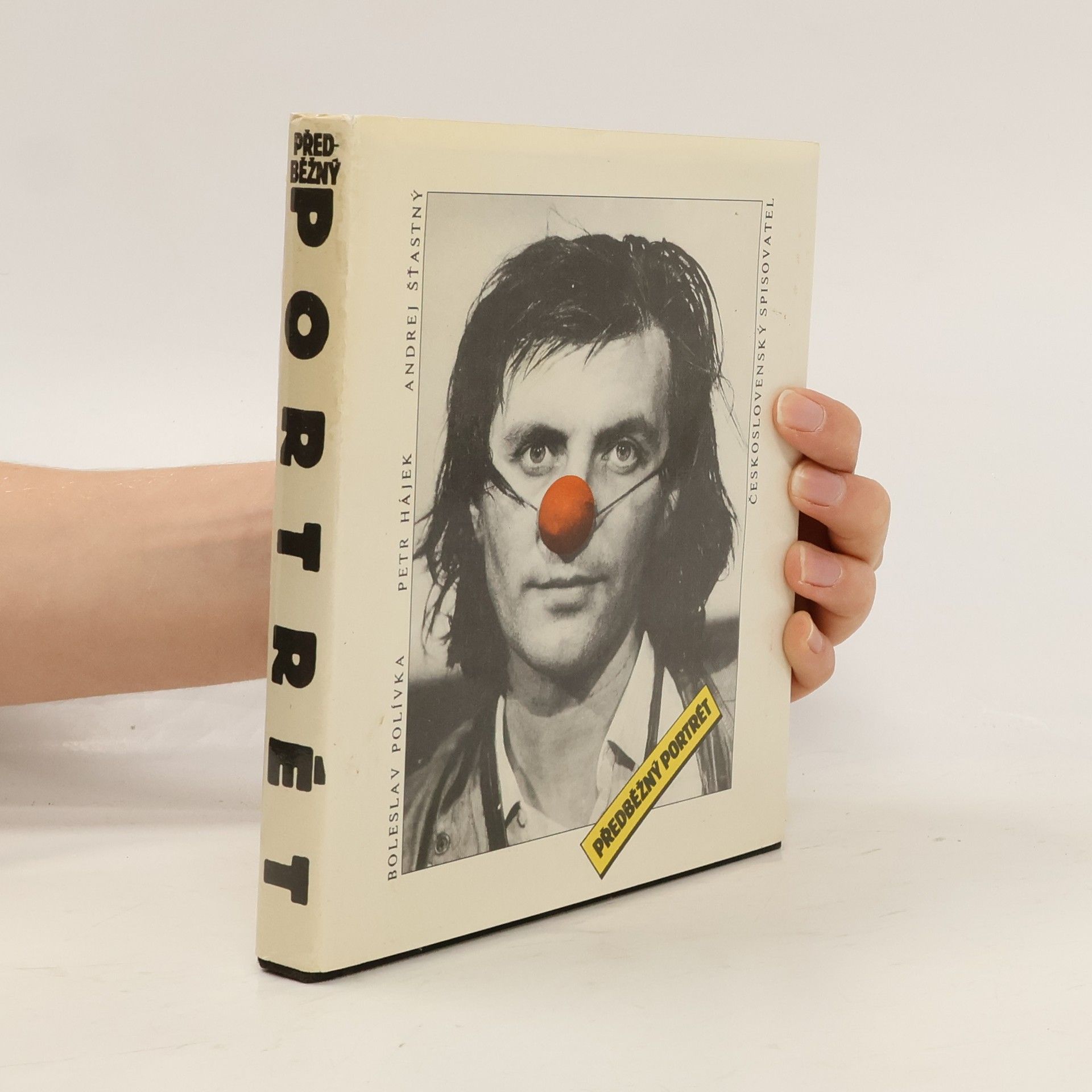 Předběžný portrét